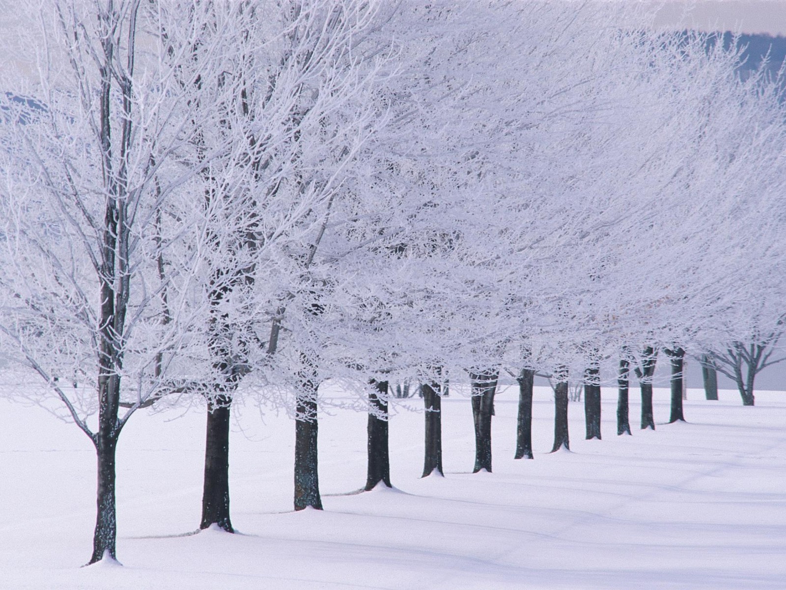 Cold Winter Cute And Attractive Place HD Wallpaper For Download
