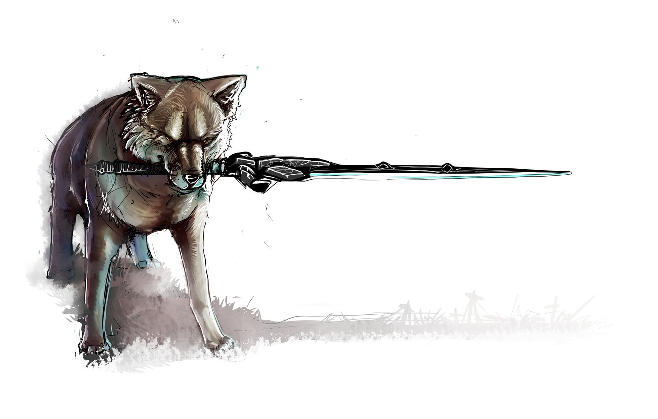 Wallpaper sword, fantasy, game, minimalism, weapon, wolf, painting, fan art, artwork, fantasy art, Dark Souls, drawing, Sif the Great Grey Wolf, Artorias the Abysswalker, Great Grey Wolf Sif image for desktop, section