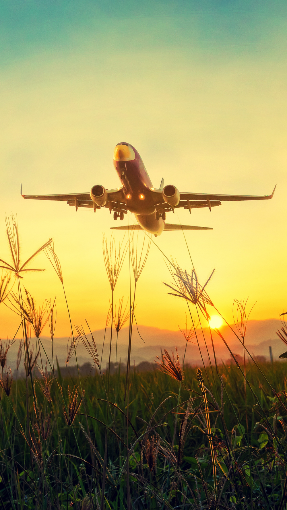 Download wallpaper 1440x2560 plane, grass, takeoff, sky, sunset, dawn qhd samsung galaxy s6, s7, edge, note,. Airplane wallpaper, Airplane photography, Wallpaper