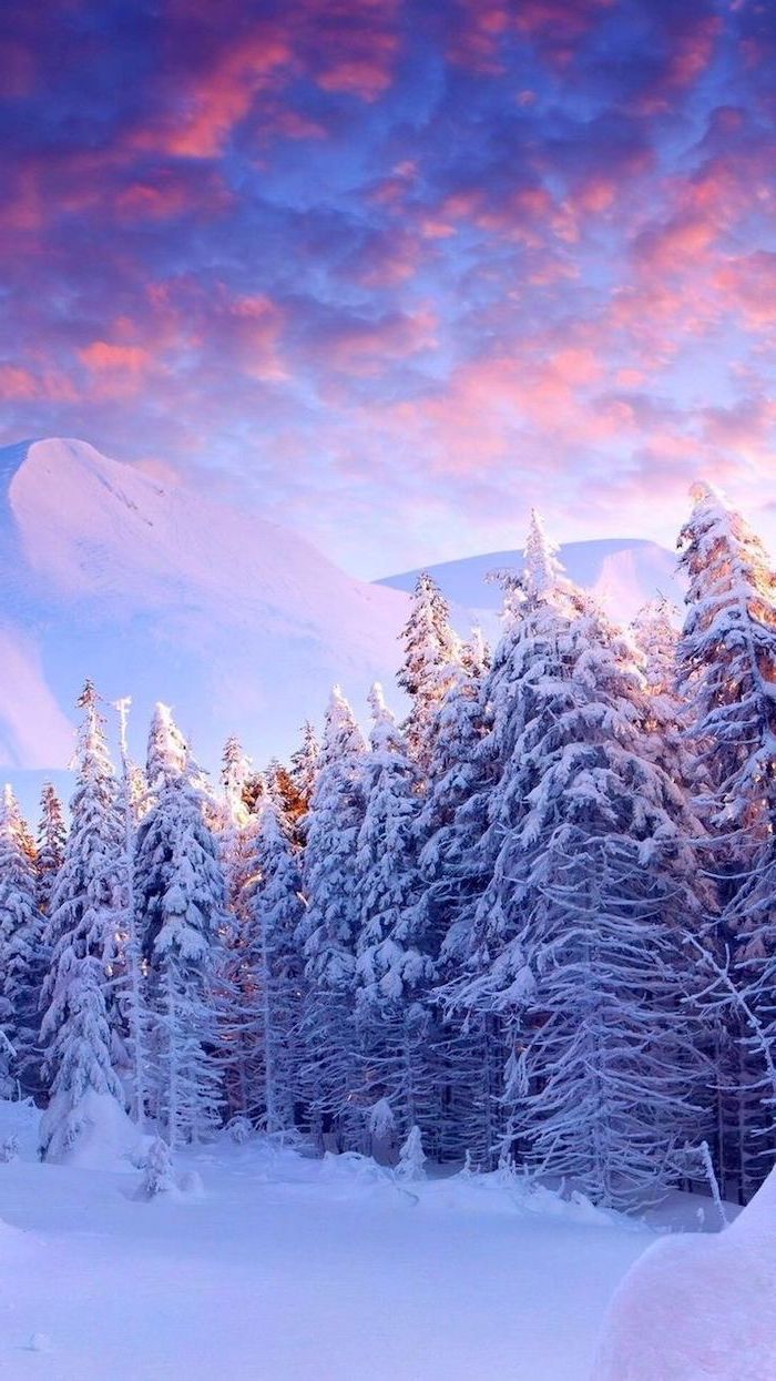 for winter wallpaper and background for your screen. Landscape wallpaper, Winter wallpaper, Winter landscape