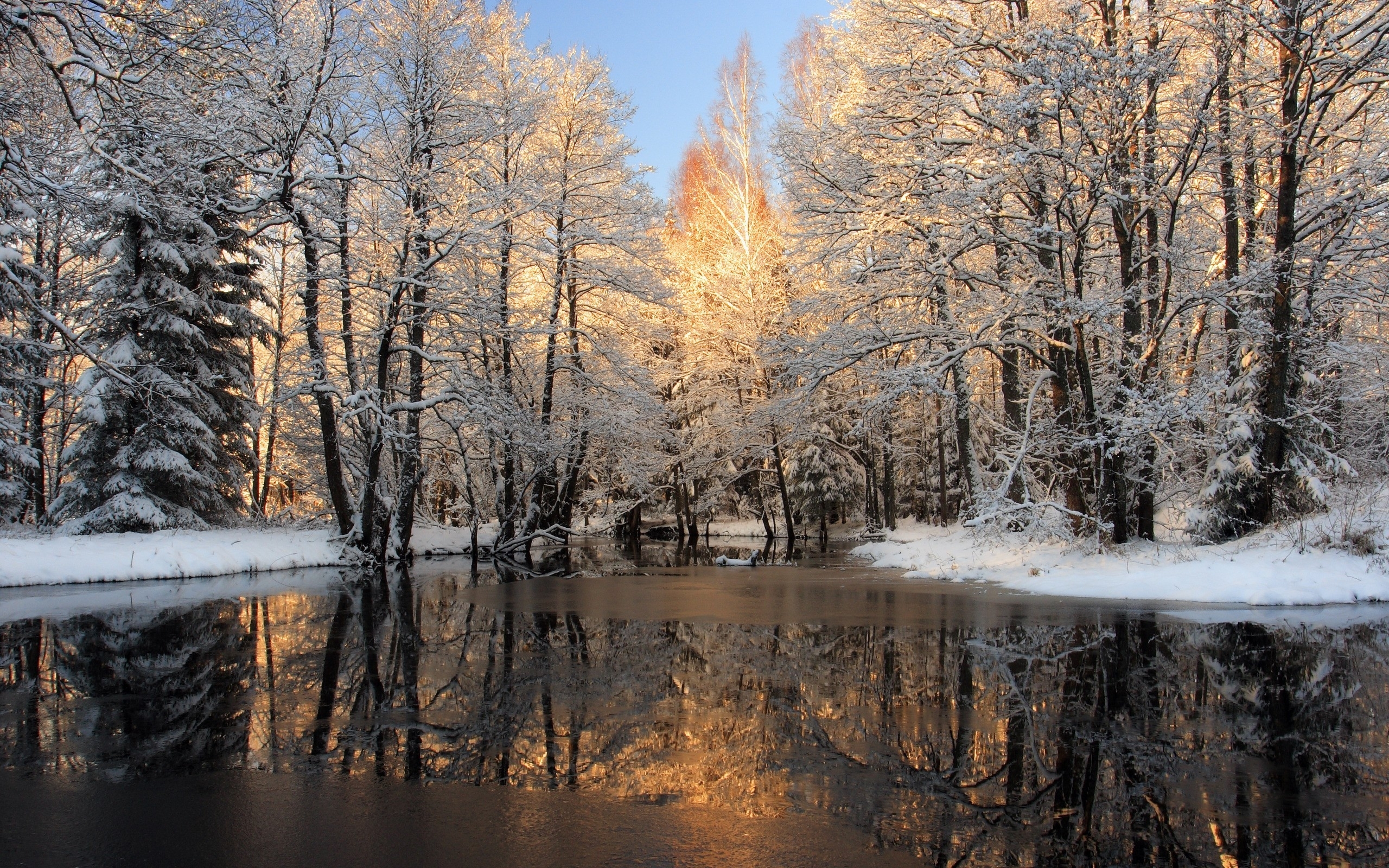 Winter Trees Snow & Lake wallpaper. Winter Trees Snow & Lake