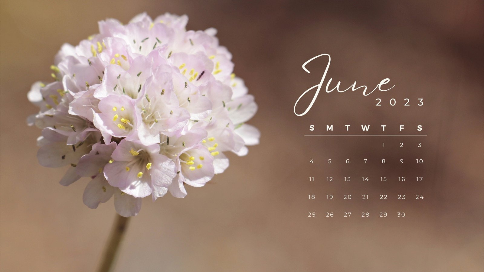 Free and customizable spring desktop wallpapers templates