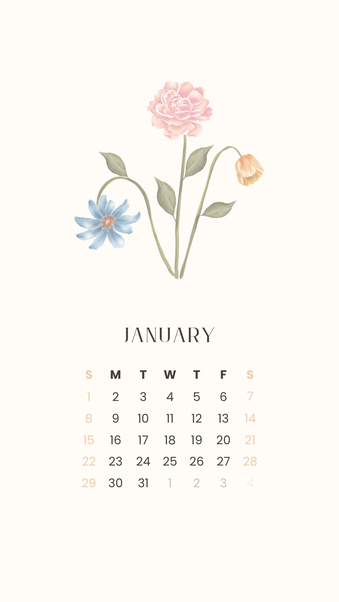 January 2023 free aesthetic calendar wallpaper / lock screen background for your phone ⋆ The Aesthetic Shop