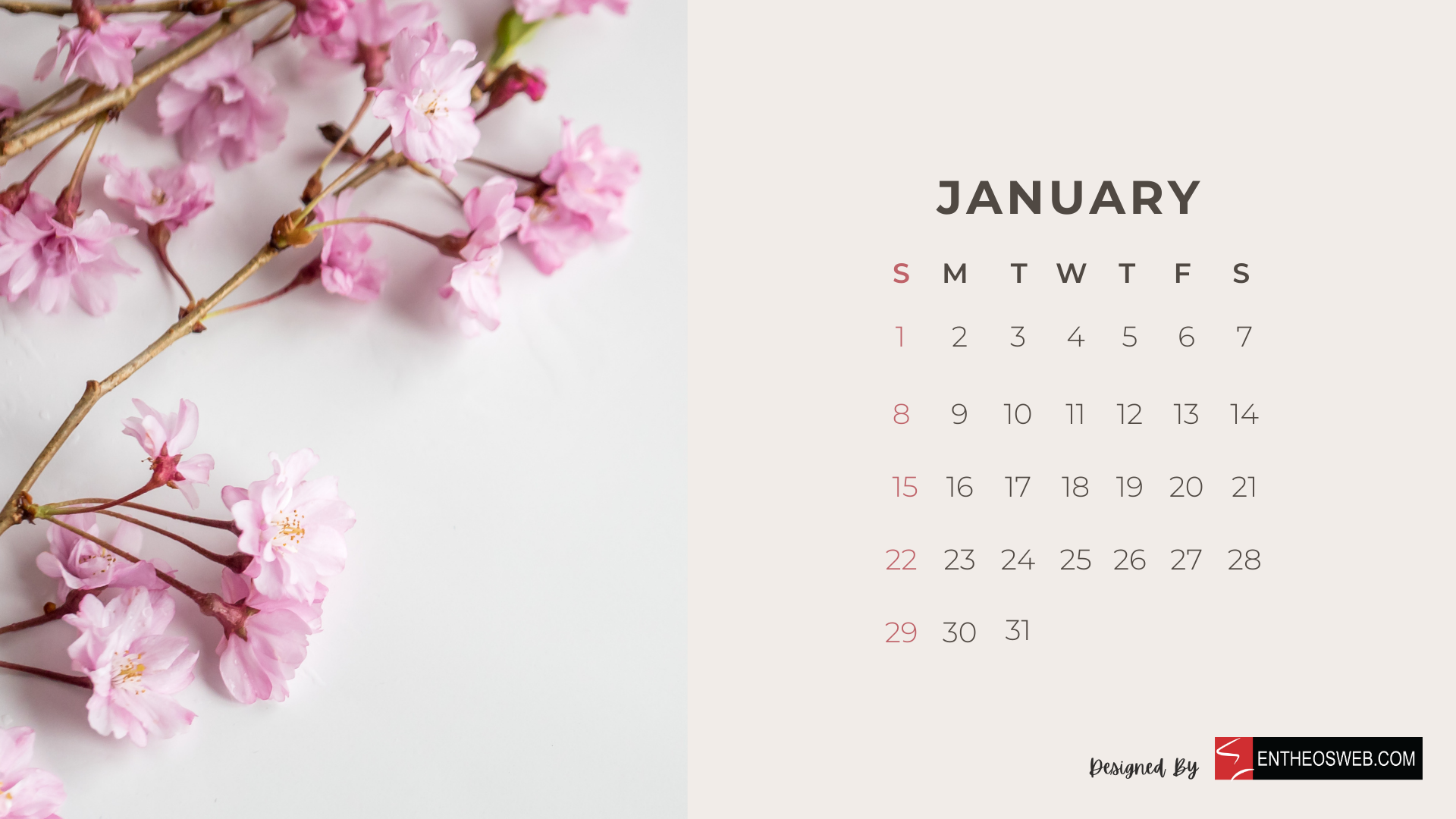 Beautiful Flowers 2023 Monthly Calendar for Desktop Wallpaper and Print