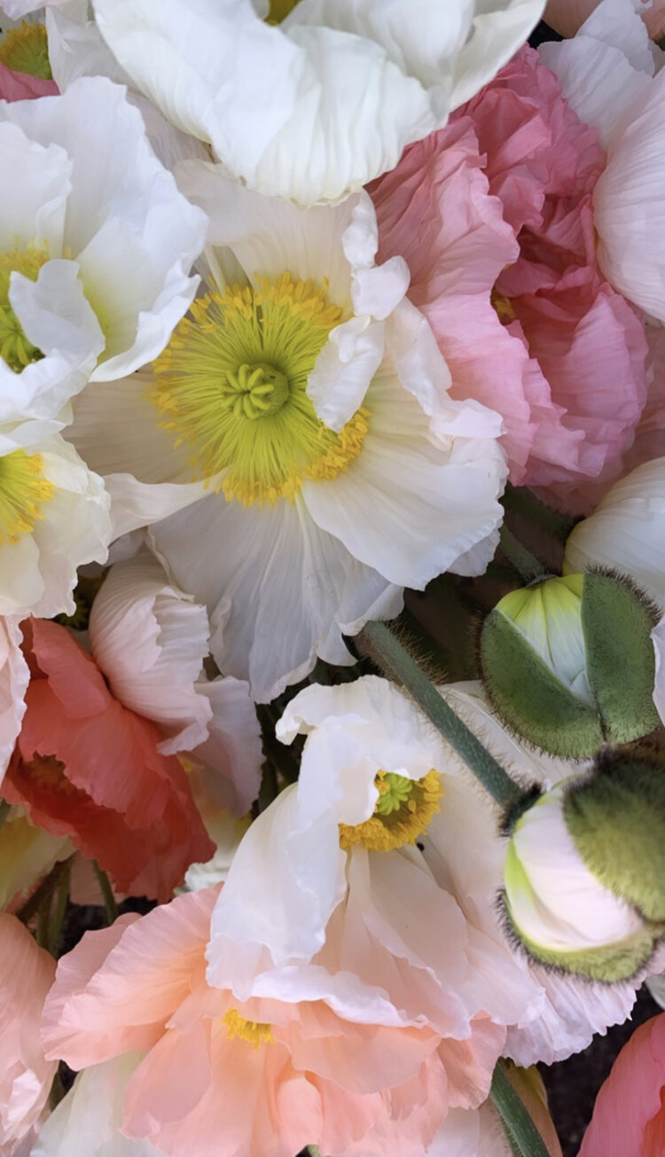 FULL BUCKET SPRING 2023 FLOWER SUBSCRIPTION