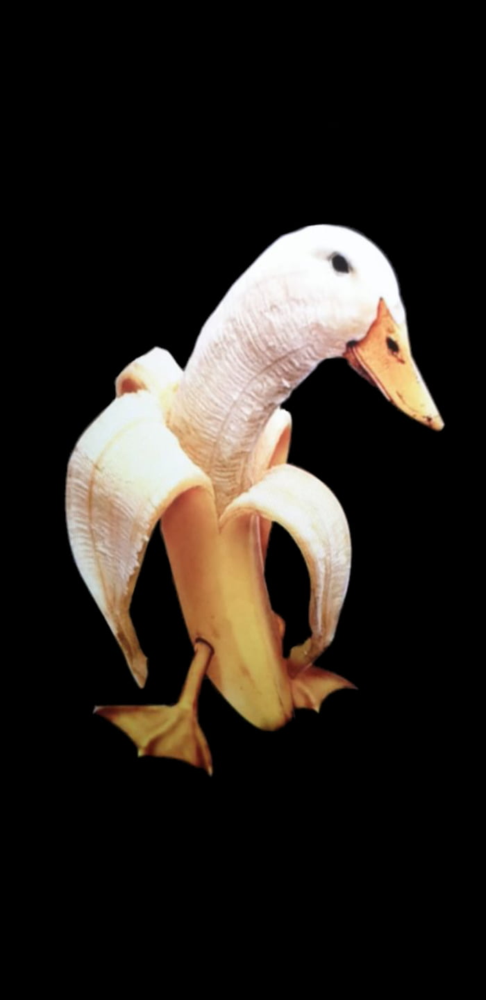 Banana Duck