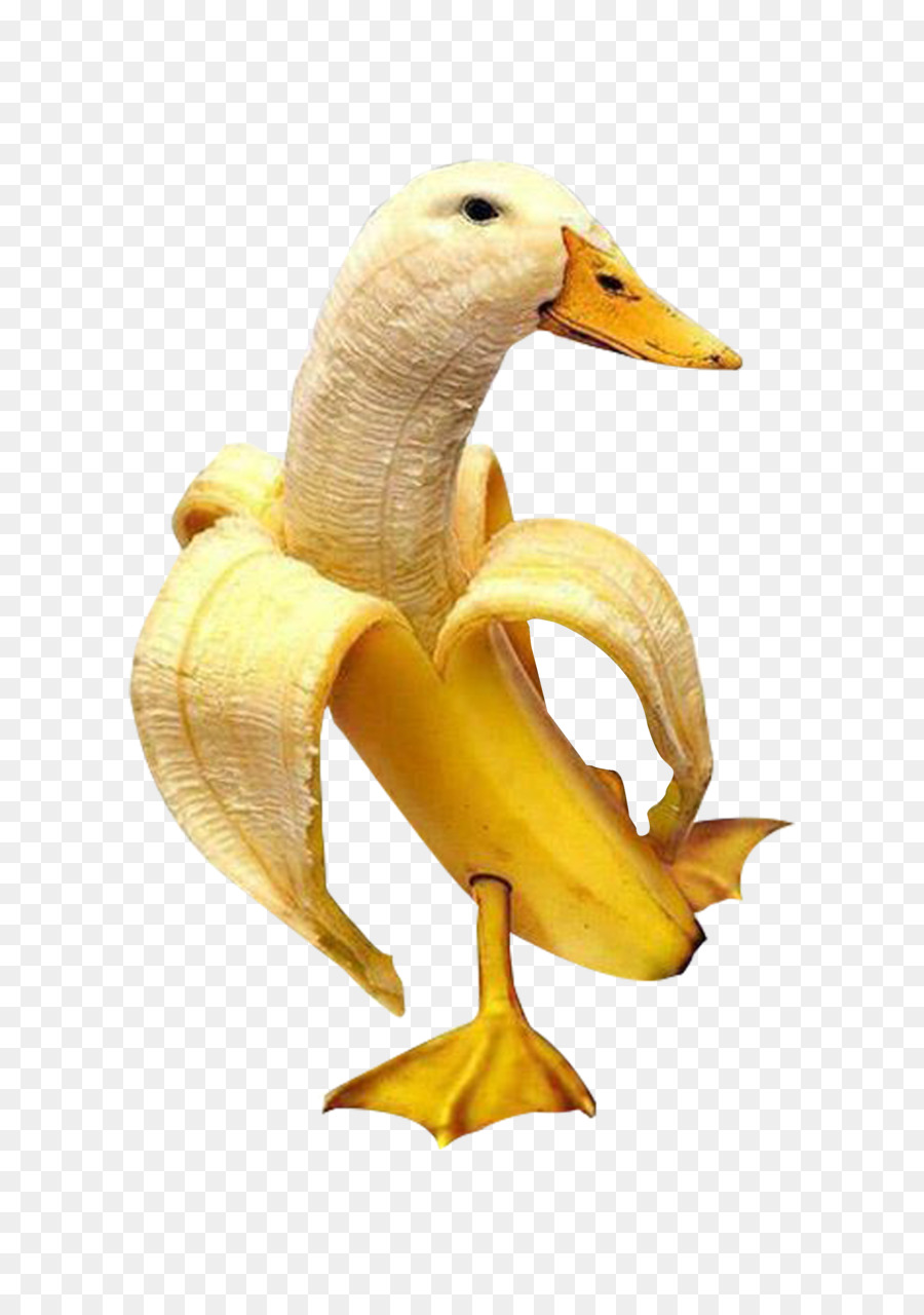 Banana Peel png download*3508 Transparent Duck png Download. / KissPNG