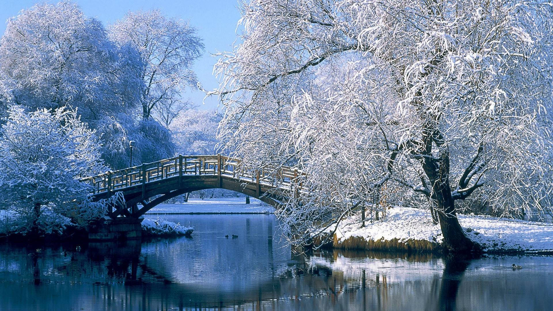 Download 1920x1080 Winter Desktop With Lovely Scene Wallpaper