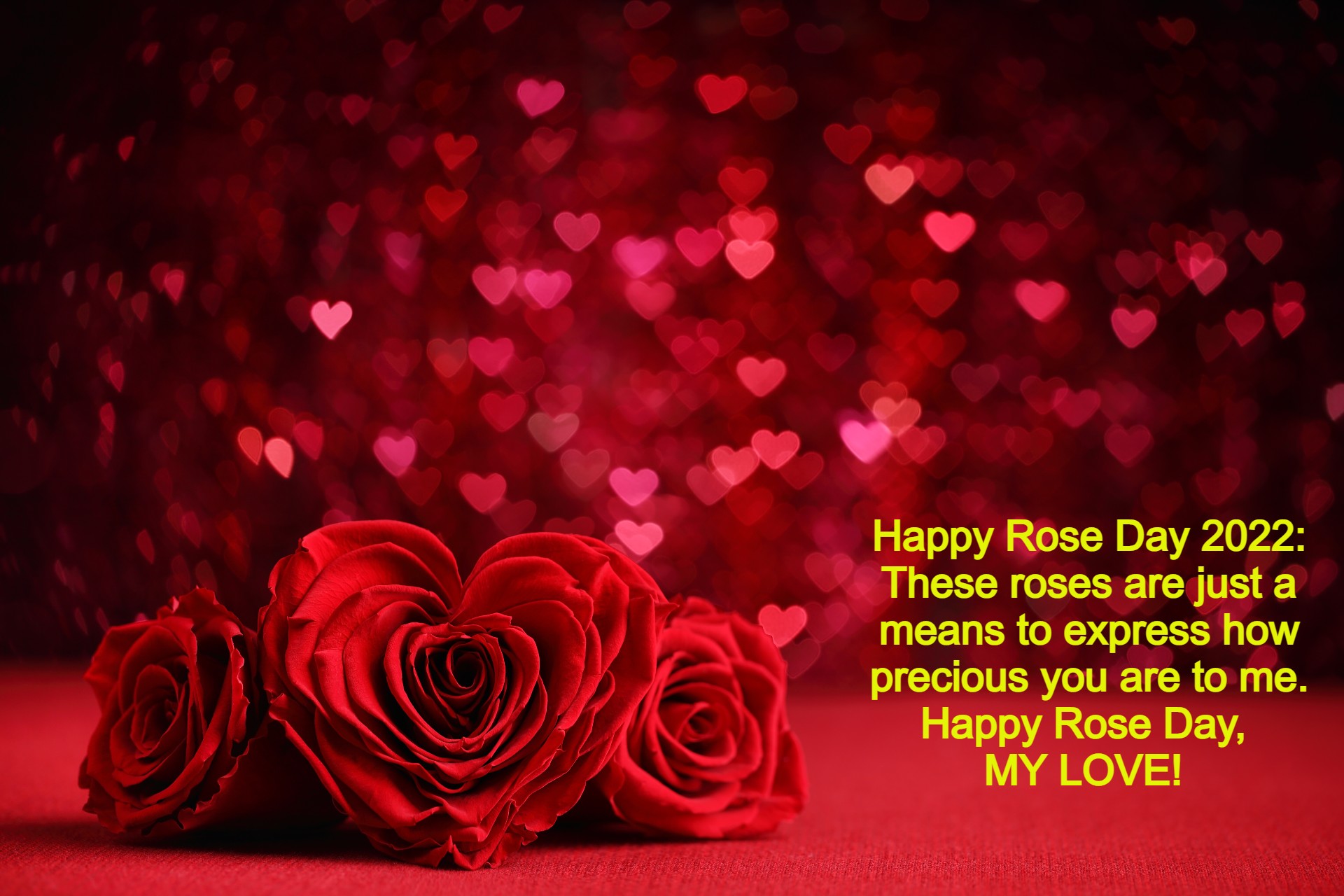 Happy Rose Day 2022: Wishes, Image, Quotes, Messages and WhatsApp Greetings to Share With Your Boyfriend and Girlfriend