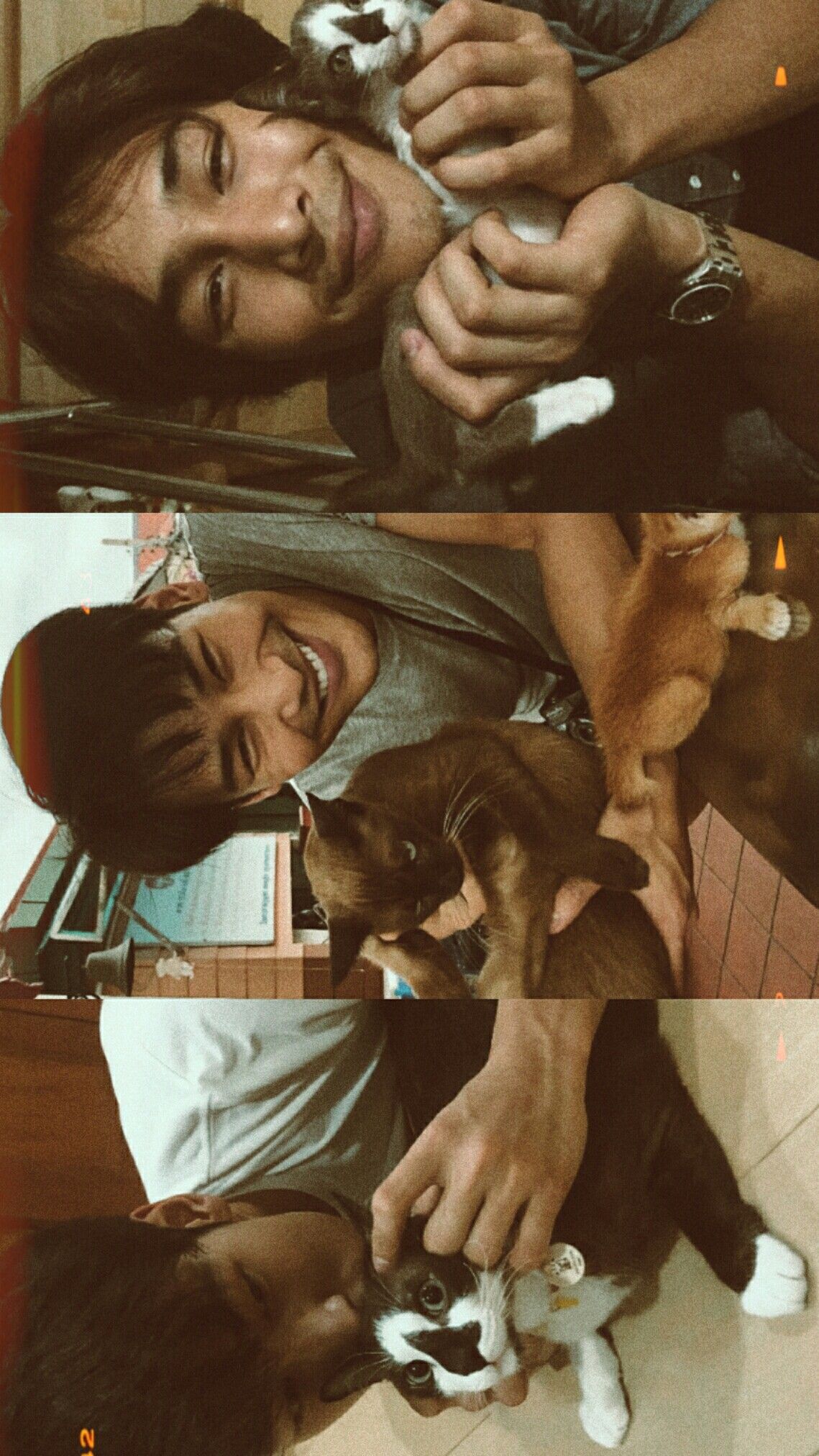 Apo Nattawin bare face with his cats. Cute version. A boy with cats aesthetic Huji and 90's era effect wallpaper. Thai actor. Gambar pacar, Foto kekasih, Gambar