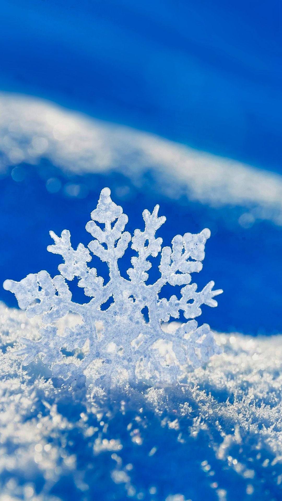 Blue Winter iPhone Wallpaper HD