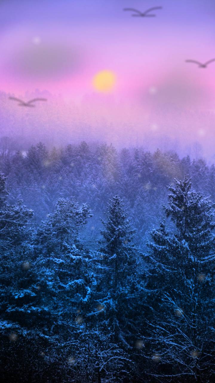 Purple Winter Wallpaper for Phone Wallpaper