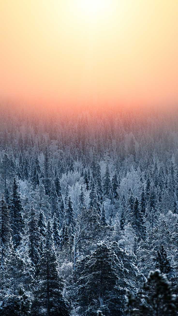 Wonderful Winter World iPhone X Wallpaper