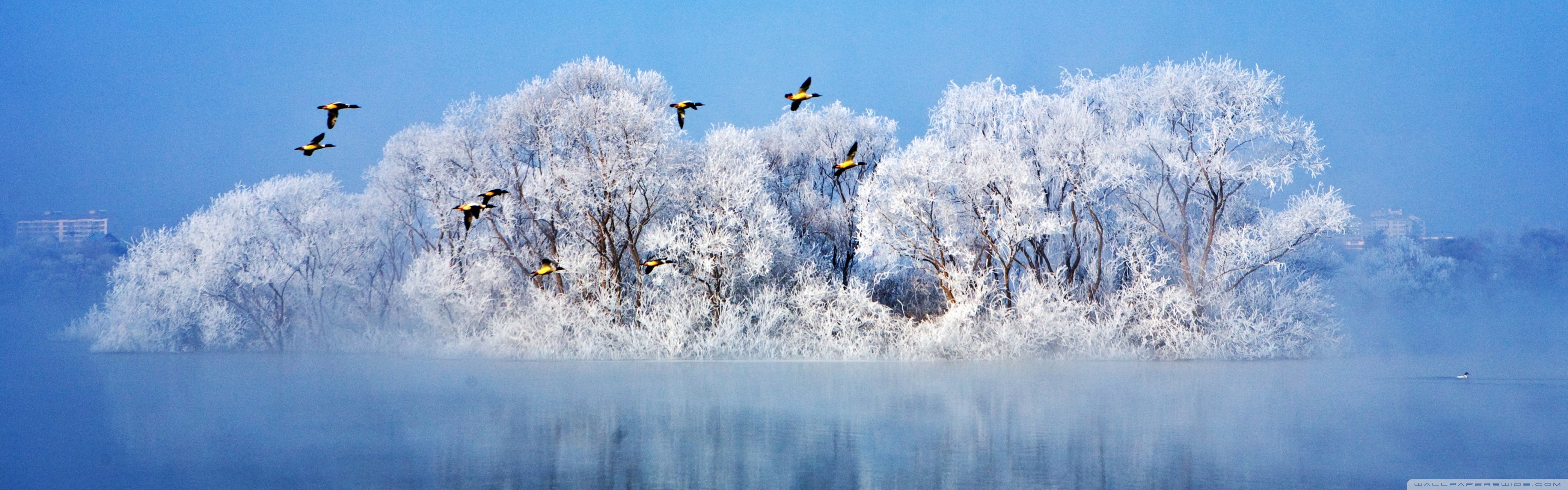 Most Beautiful Winter Ultra HD Desktop Background Wallpaper for 4K UHD TV, Widescreen & UltraWide Desktop & Laptop, Multi Display, Dual Monitor, Tablet