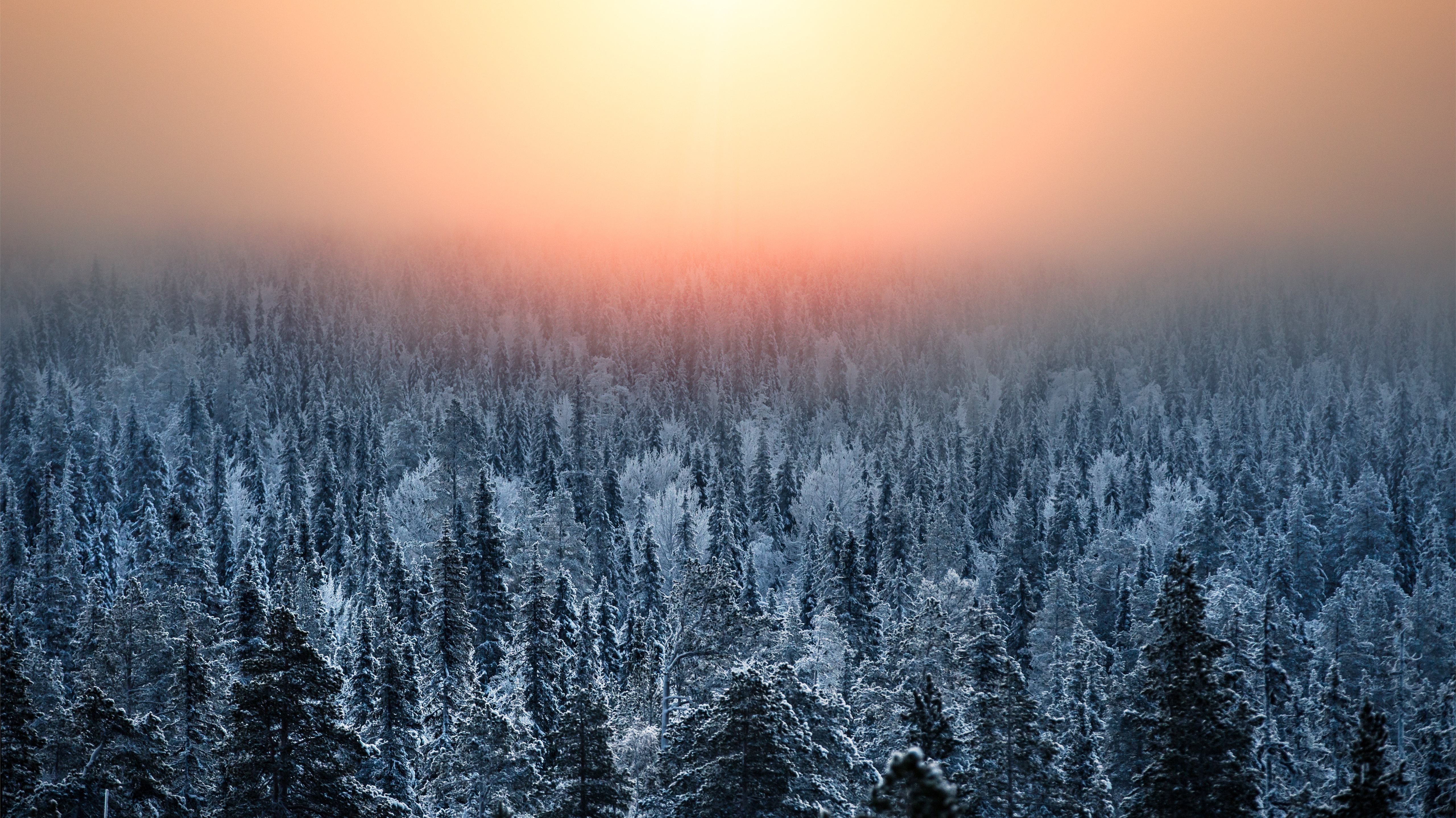 Winter sunset! Mac Wallpaper Download
