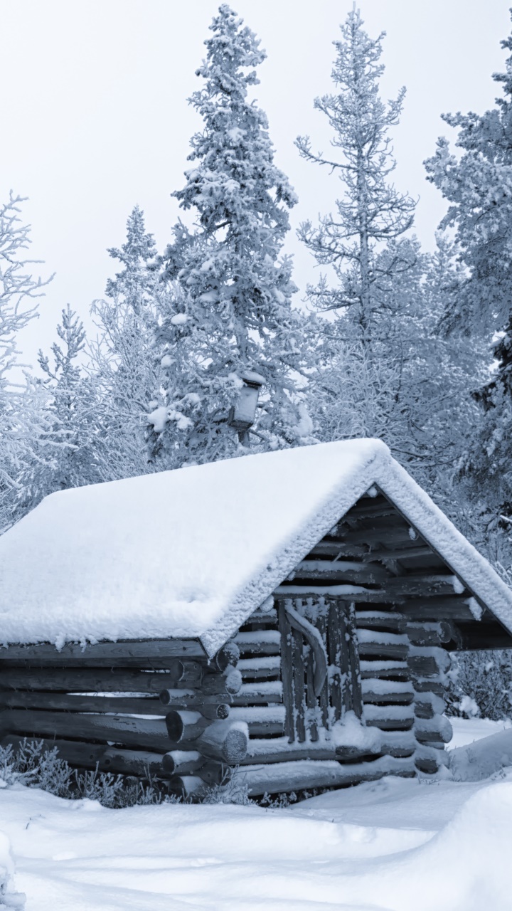 Wallpaper / Man Made Cabin Phone Wallpaper, Forest, Snow, Tree, Winter, 720x1280 free download