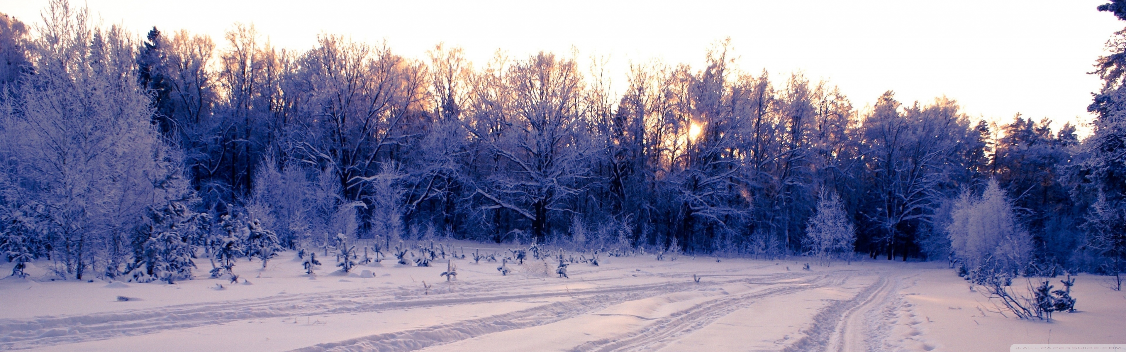 Snow Tracks, Winter Ultra HD Desktop Background Wallpaper for 4K UHD TV, Multi Display, Dual Monitor, Tablet