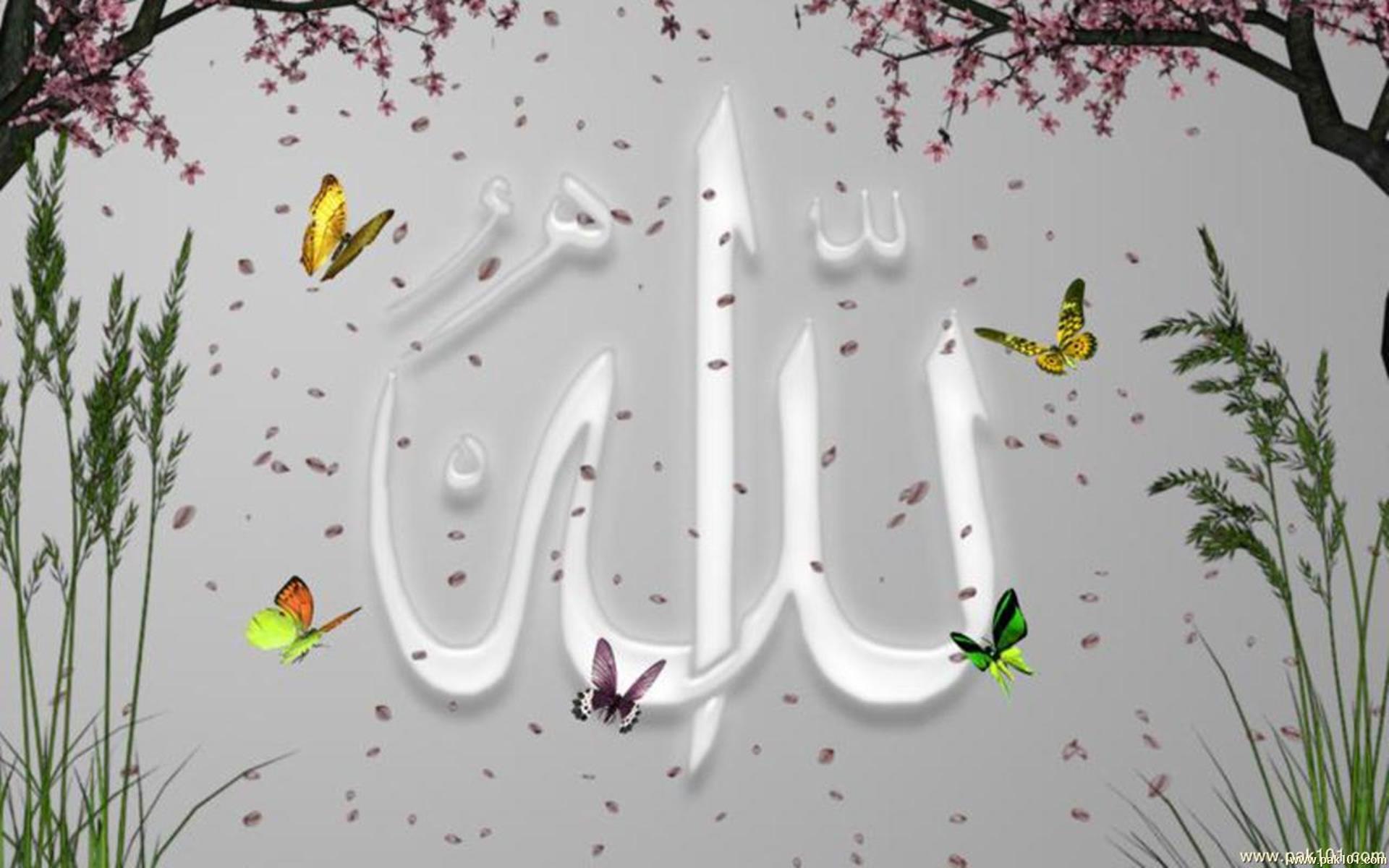 Wallpaper > Islamic > Beautiful Name Allah high quality! Free download 1280x800