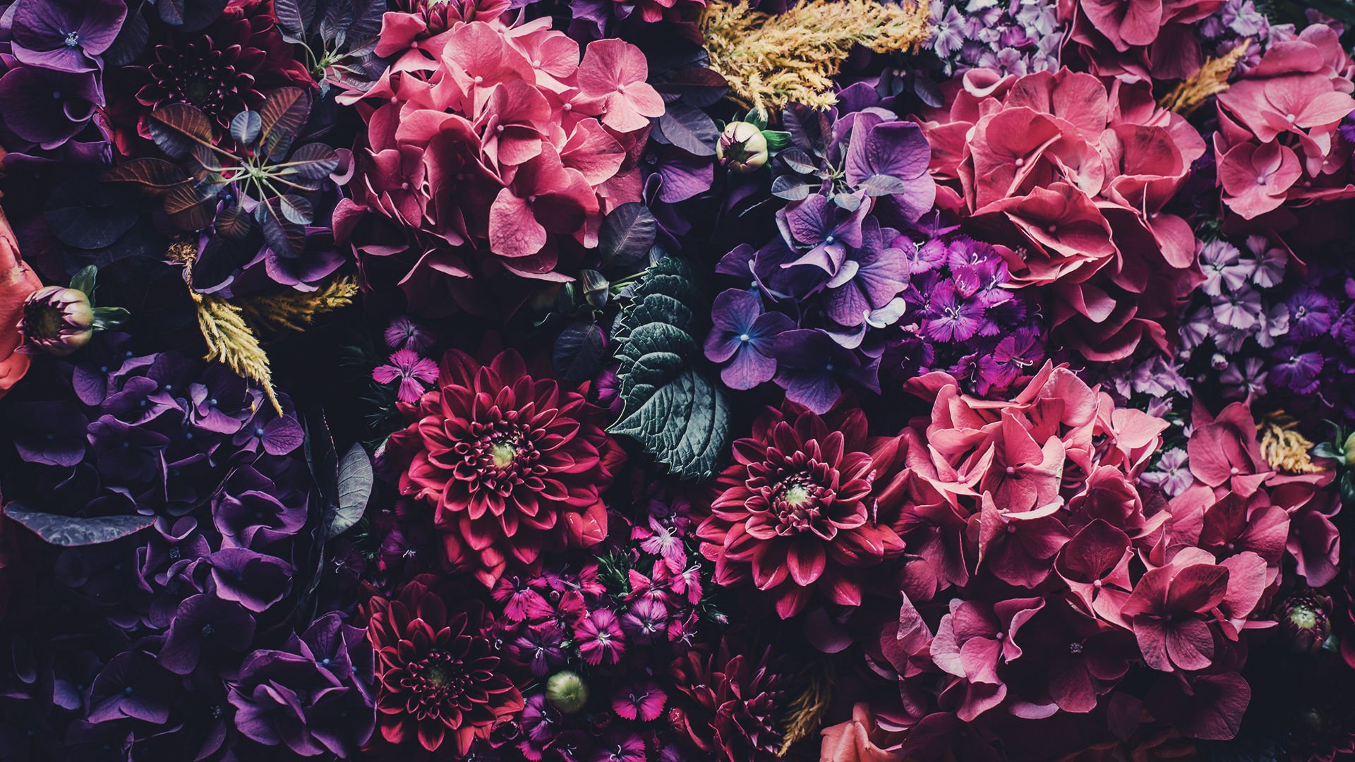 Floral iPhone Wallpaper To Celebrate 65k Followers