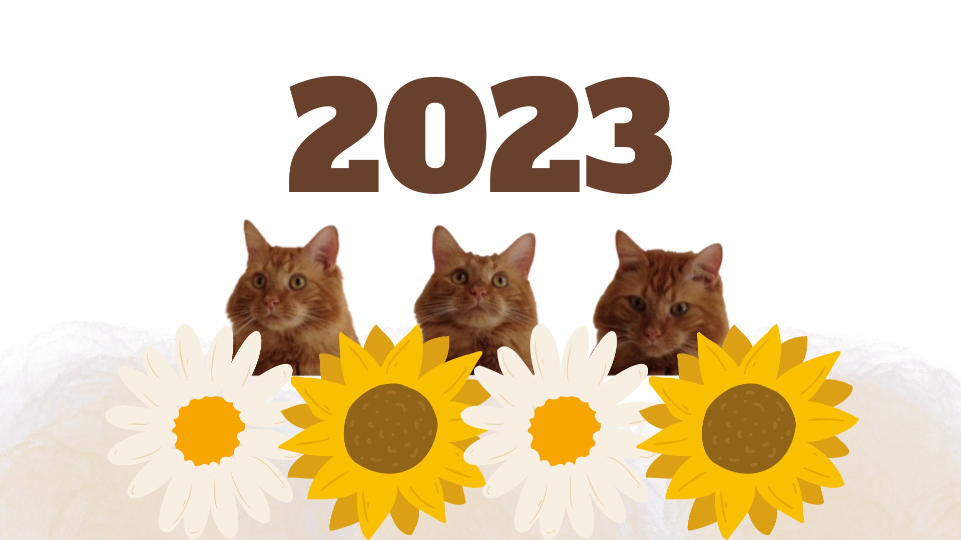 2023 Cat Calendar Digital and Printable Use for Background