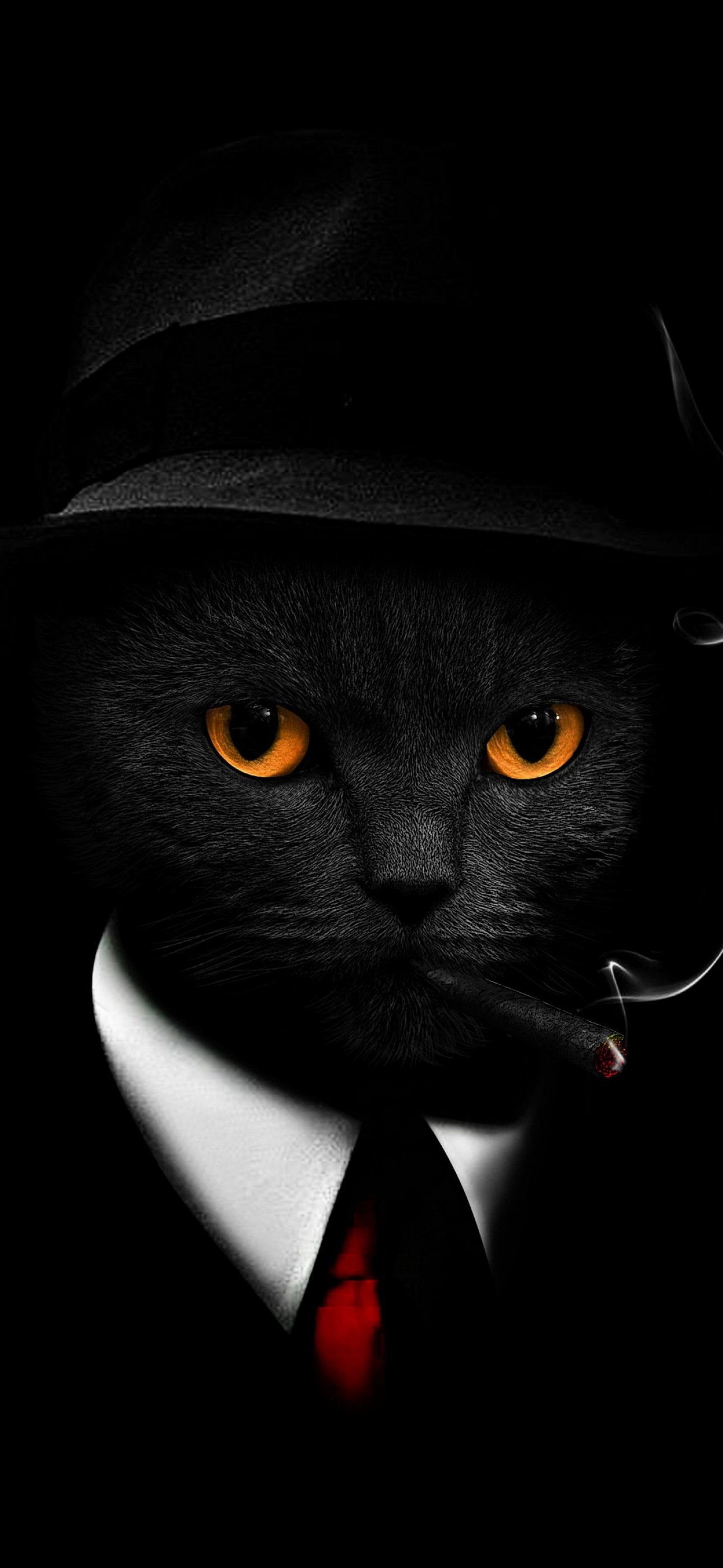Black Cat Wallpaper 4K, Black background, Hat, Animals