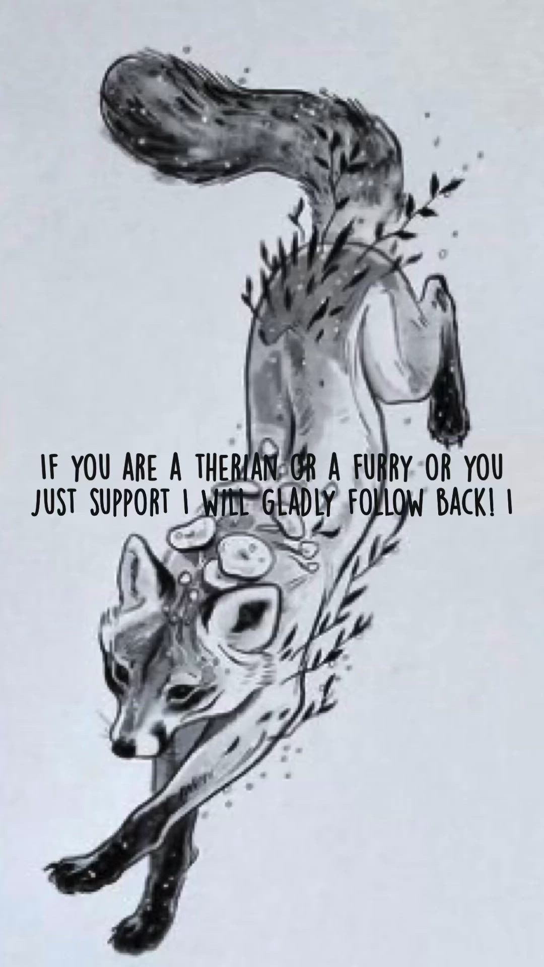 Wolf Therian Wallpapers Wallpaper Cave