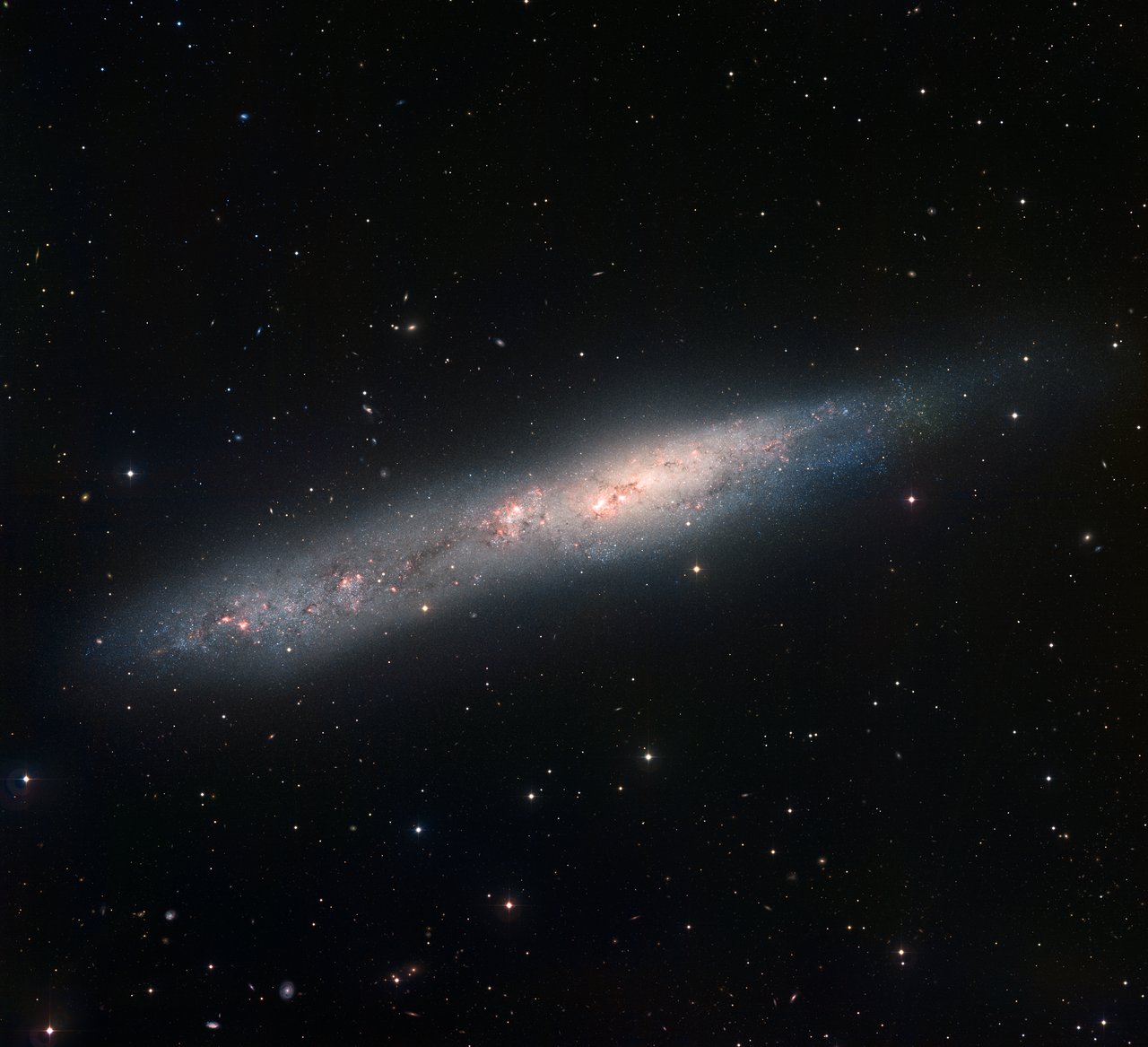 Irregular galaxy NGC 55