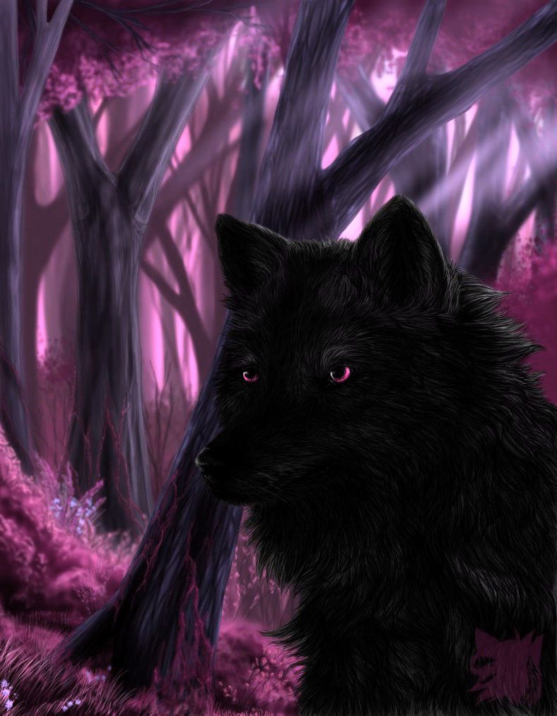 Black wolf with Pink Eyes. Wolf spirit animal, Black wolf, Wolf love