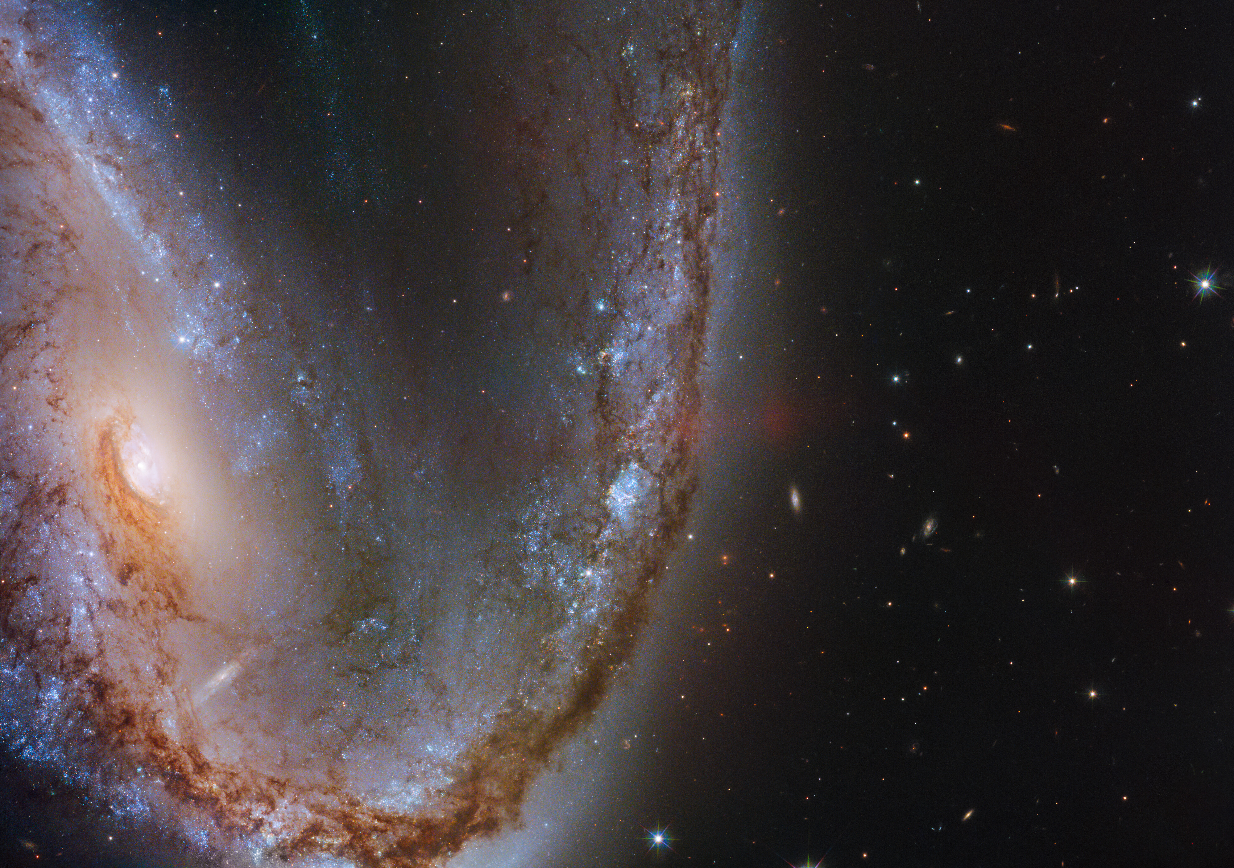 Hubble Hooks a Supernova Host Galaxy