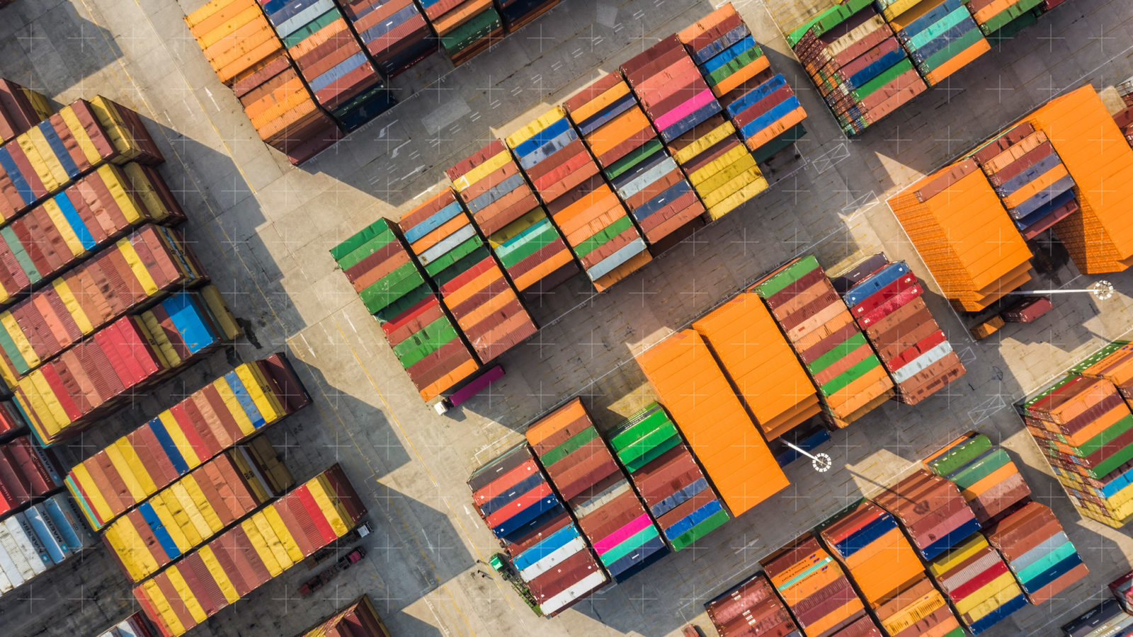 New members set stage for next wave of TradeLens growth