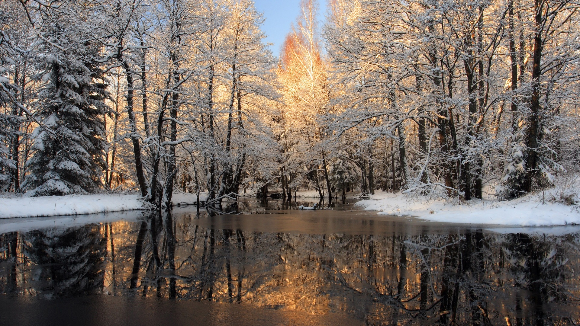 Wallpaper / snow, nature, beautiful, forests, trees, frozen, rivers, winter free download