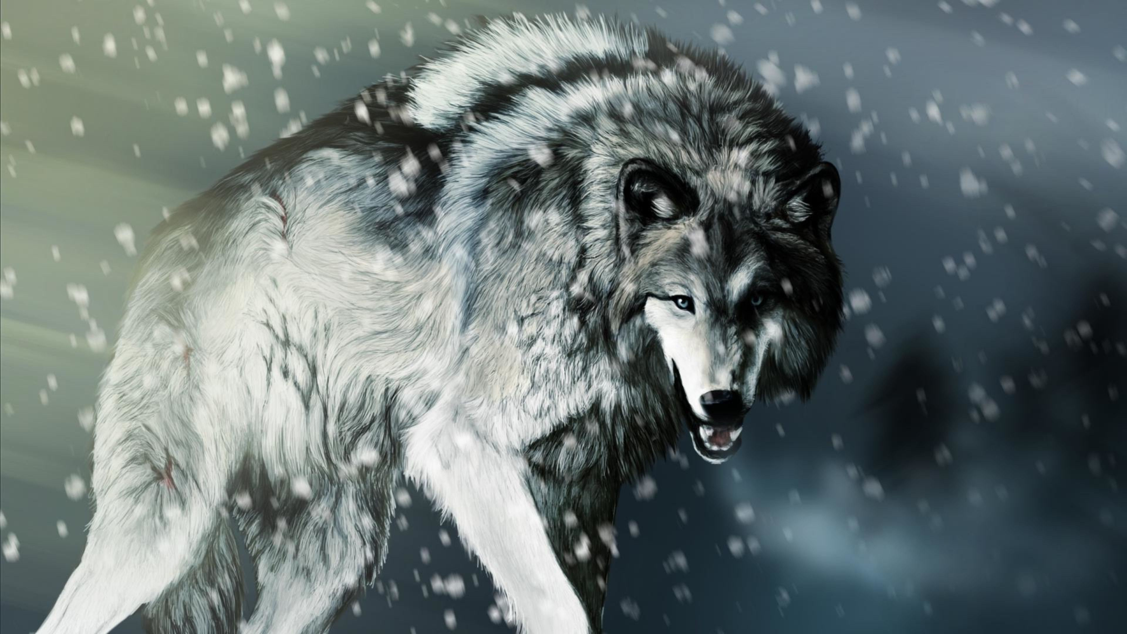 Wolf Wallpaper and Background 4K, HD, Dual Screen