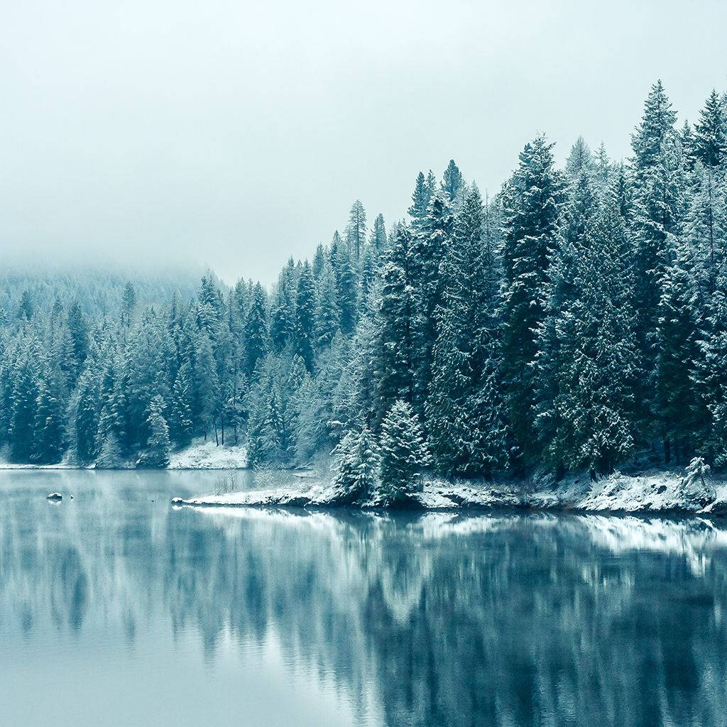 Download Frosted Lake View iPad Mini Wallpaper