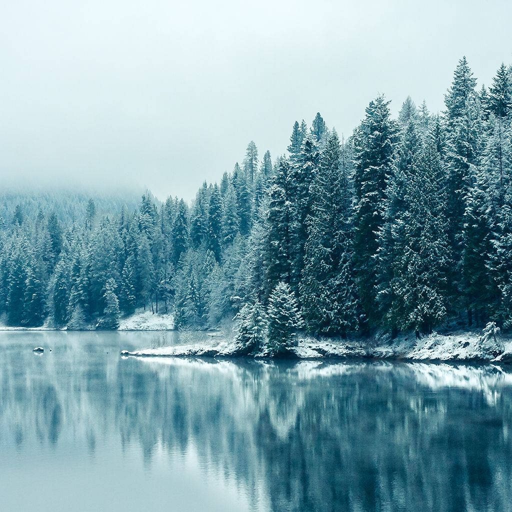 Download Frosted Lake View iPad Mini Wallpaper