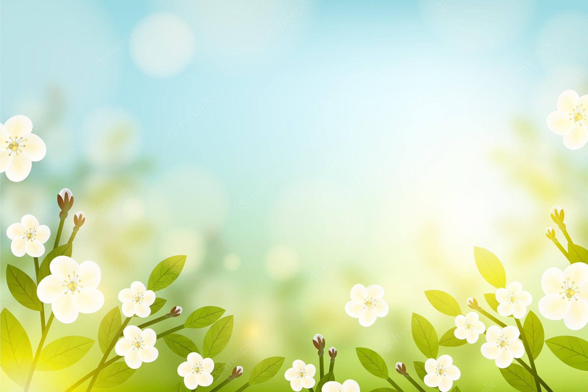 Spring nature computer wallpapers wallpaper cave