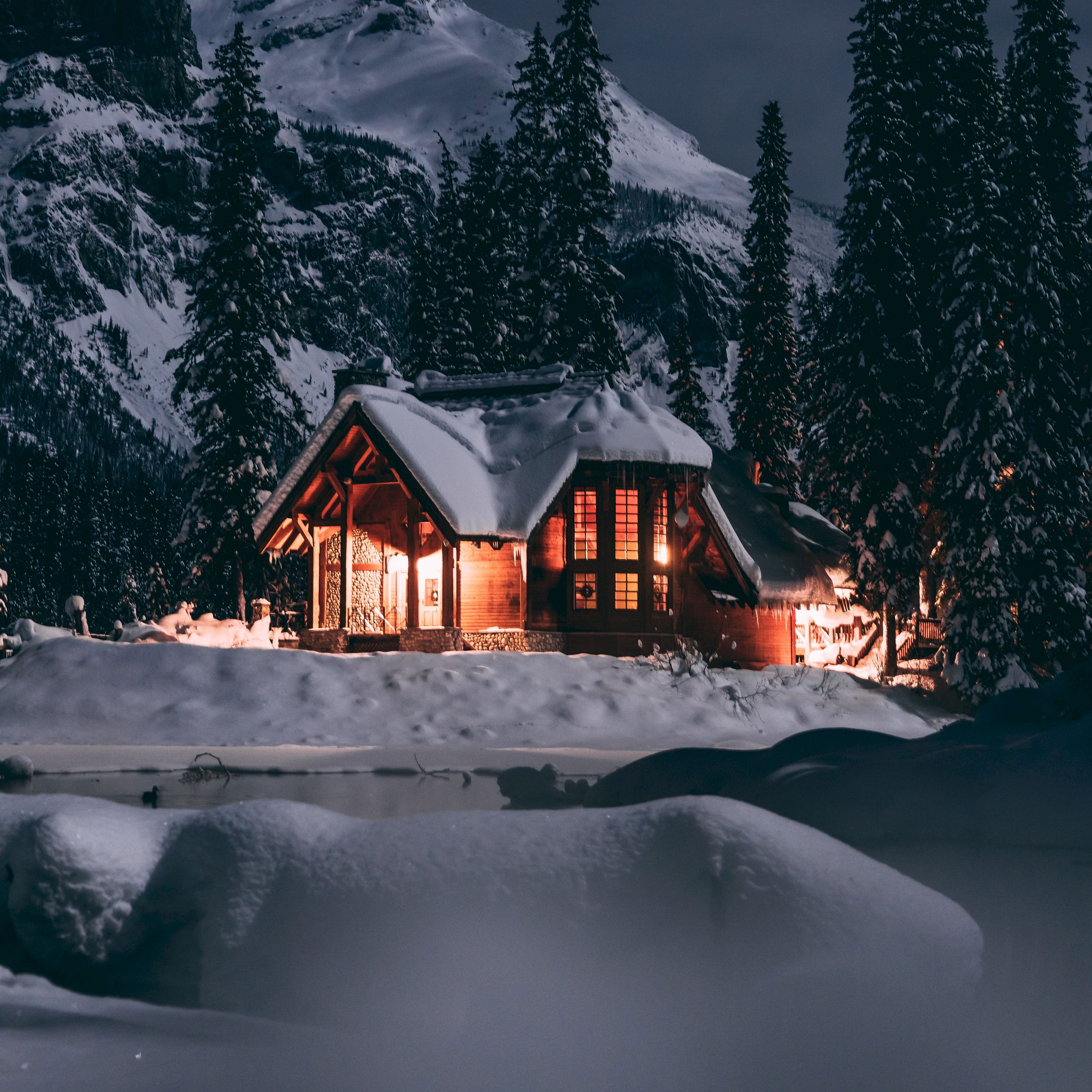 Download wallpaper 2780x2780 house, winter, snow, night, trees ipad air, ipad air 2, ipad 3, ipad 4, ipad mini 2, ipad mini 3, ipad mini 4, ipad pro 9.7 for parallax HD background