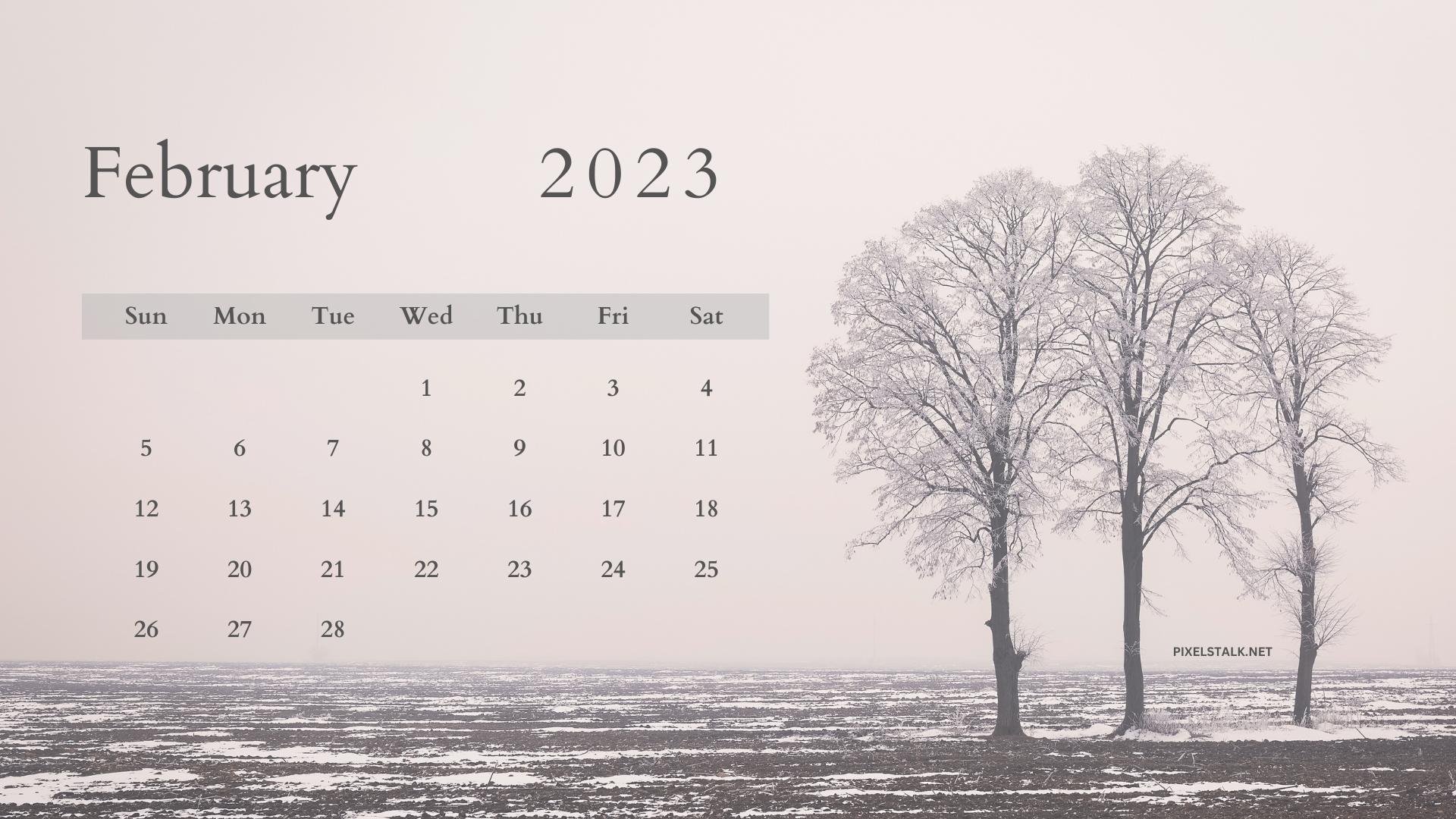 February 2023 Calendar Desktop Wallpaper