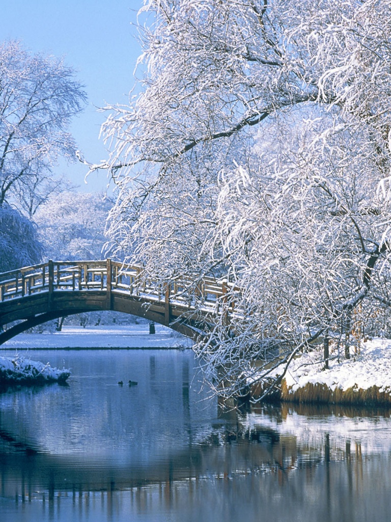 Winter in the park, snow, lake, bridge, nature iPad mini wallpaper
