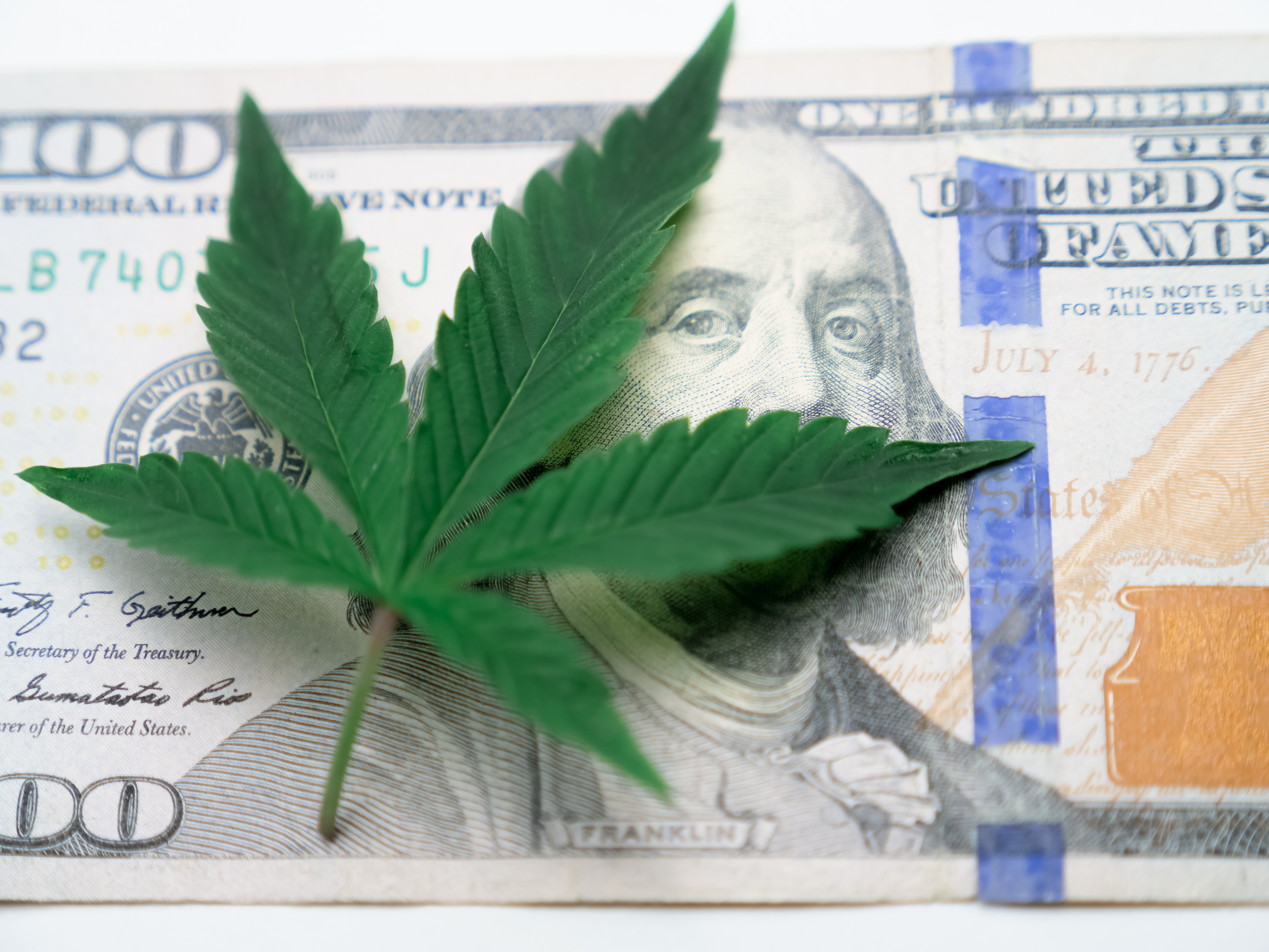 Photo of Cannabis on Top of One Hundred Dollar Bill · Free