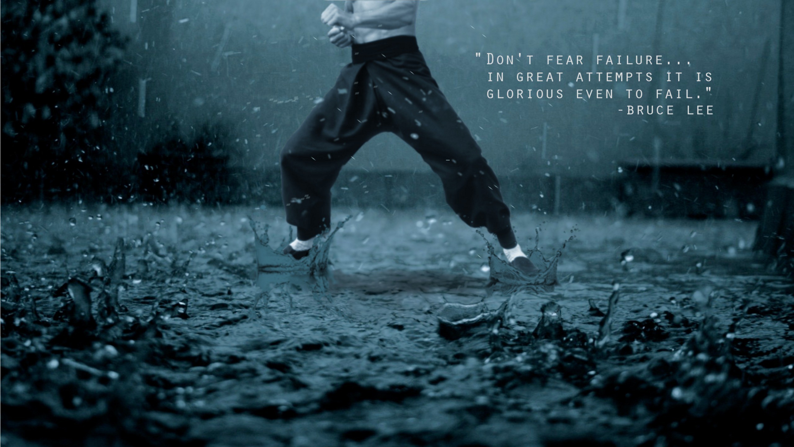 Martial Arts Wallpaper