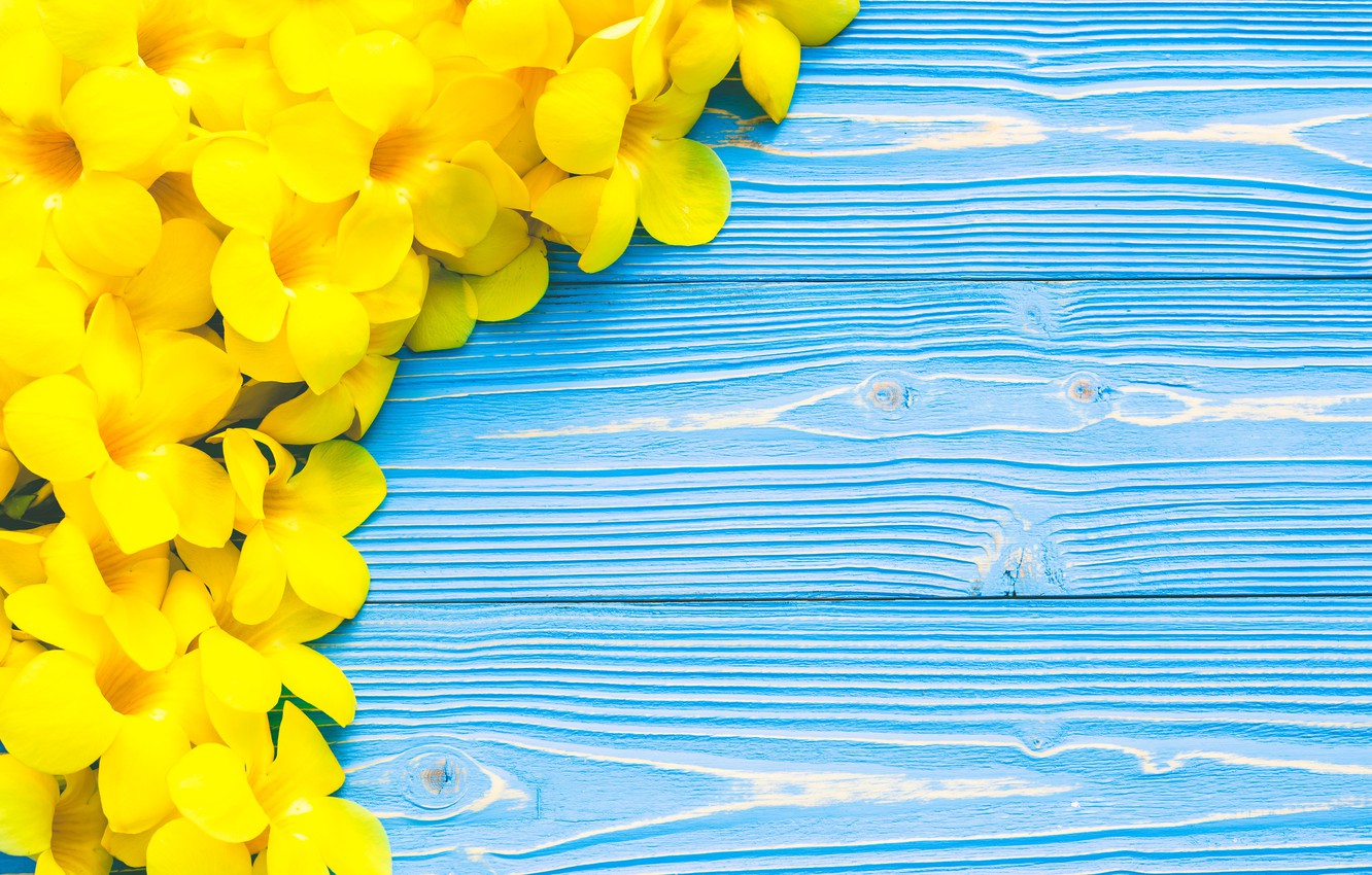 Free download Wallpaper flowers yellow yellow wood blue flowers tropical [1332x850] for your Desktop, Mobile & Tablet. Explore Yellow Wooden Wallpaper. Yellow Wallpaper, Yellow Background Image, Background Yellow