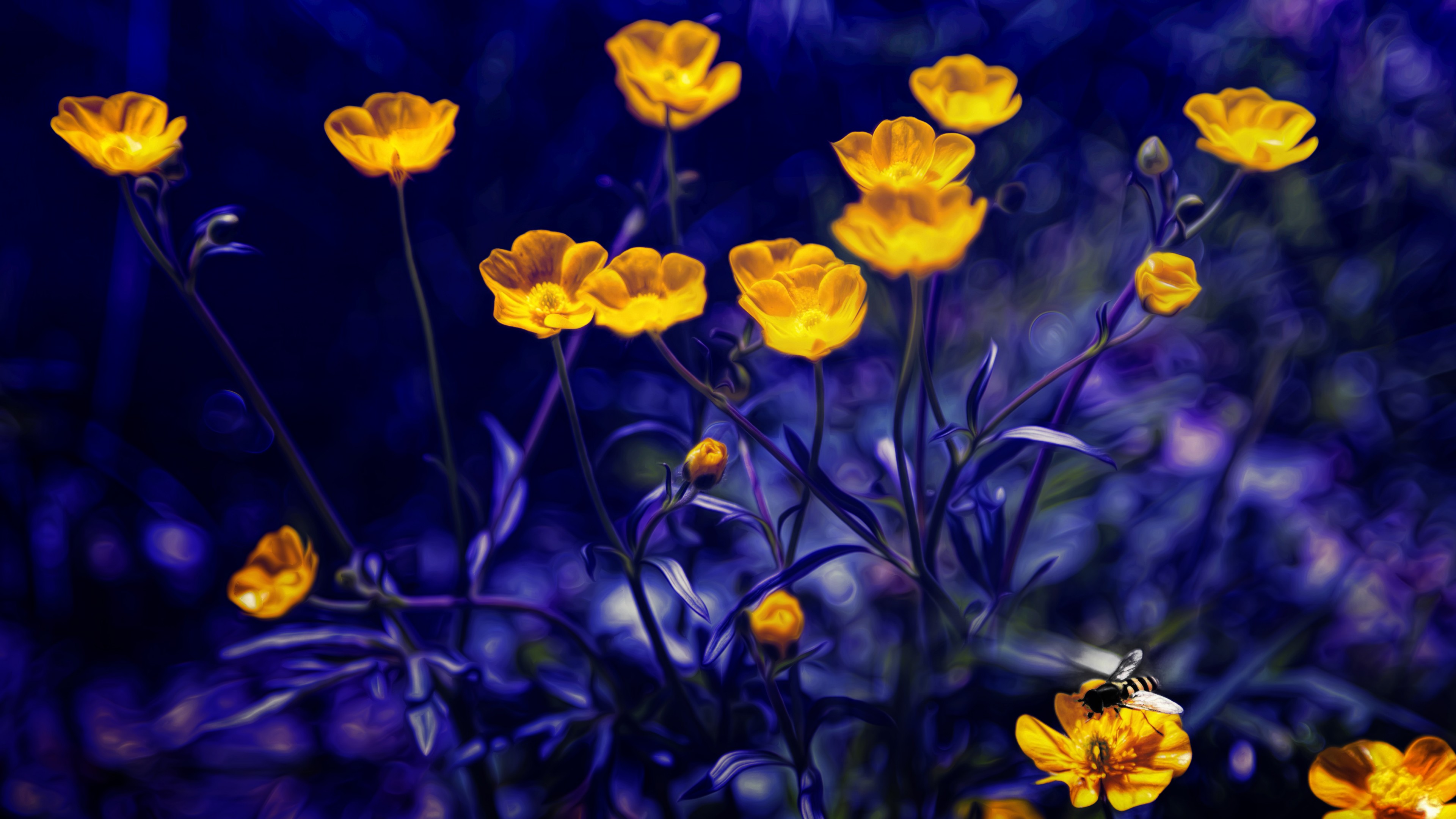 Wallpaper Buttercups, 4k, 5k wallpaper, flowers, yellow, purple, Nature