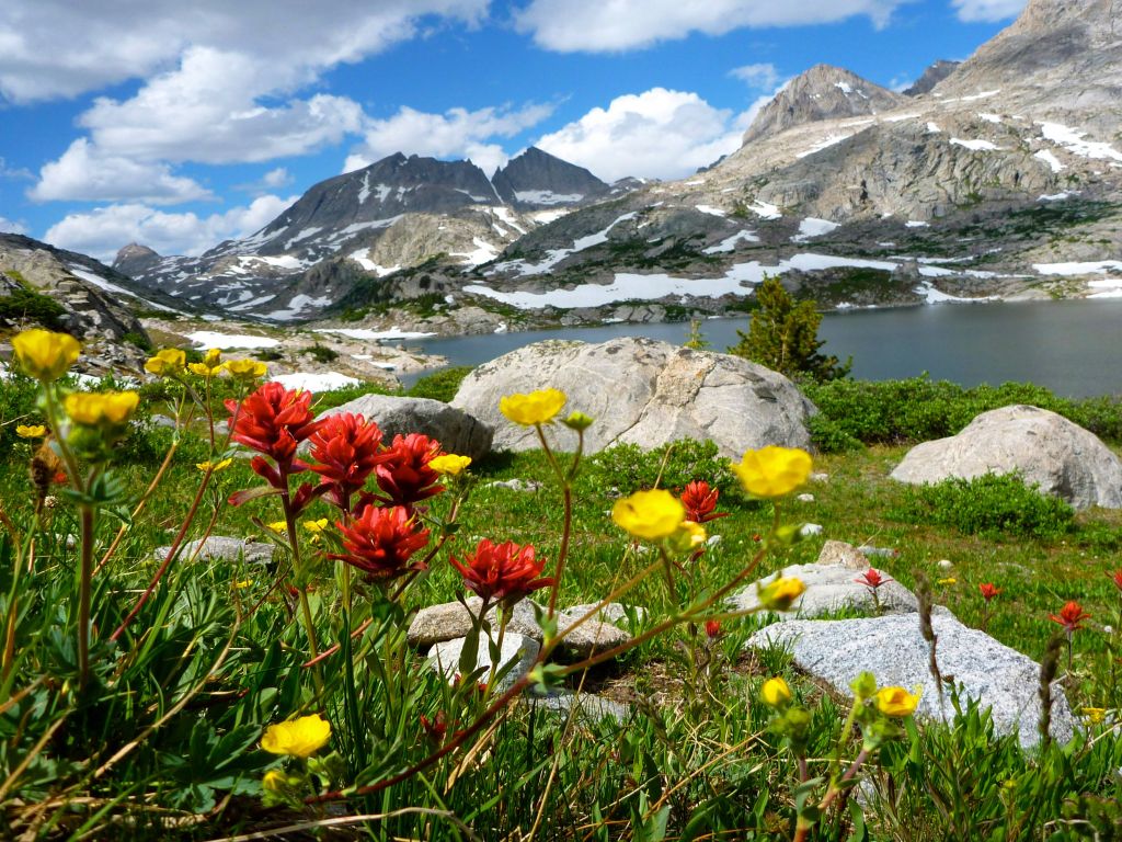 Spring is There so Go Outside Like This Mountains Lake wallpaper in 1024x768 resolution