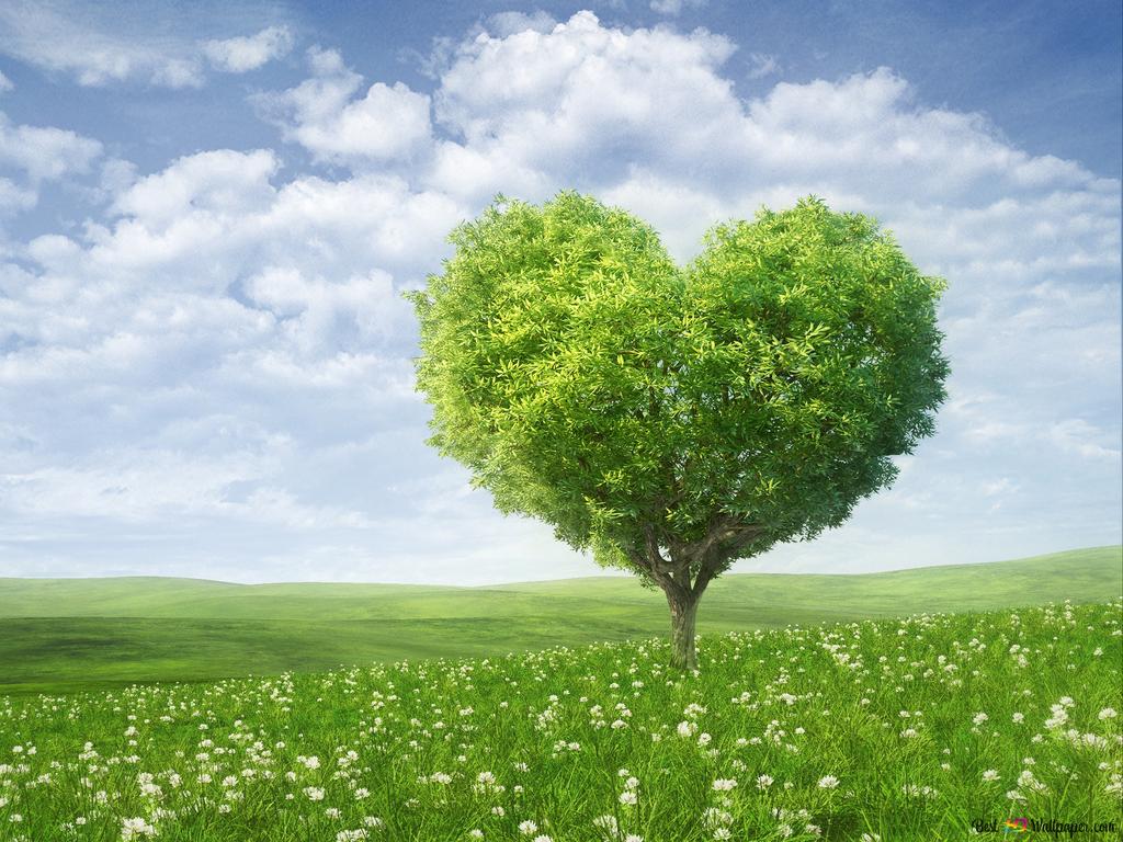 Valentine's day heart tree landscape 4K wallpaper download