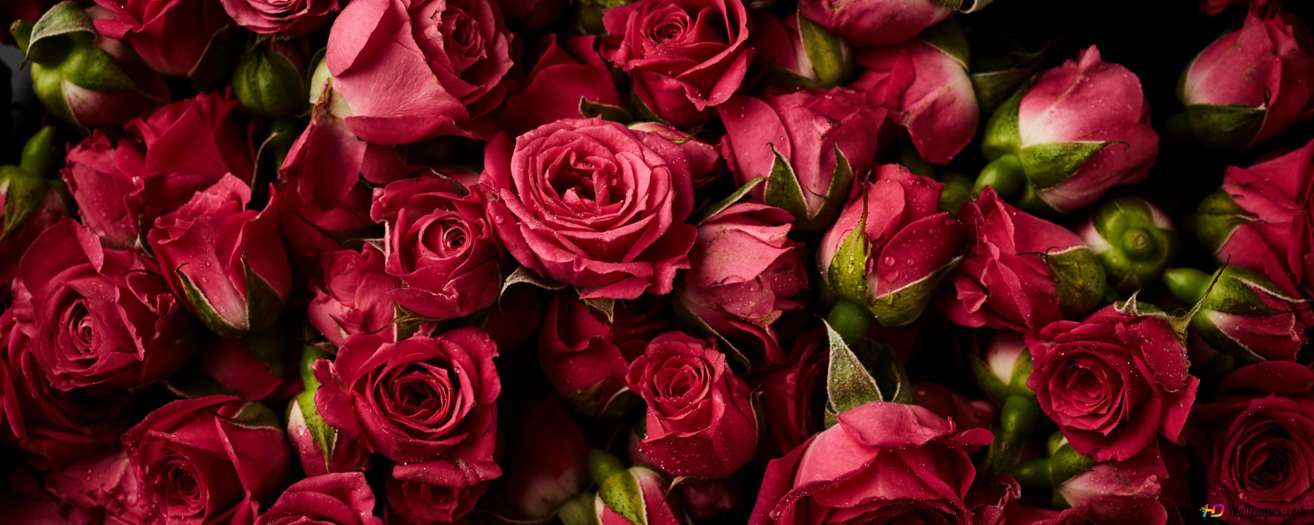 Valentine's day roses decorations 2K wallpaper download