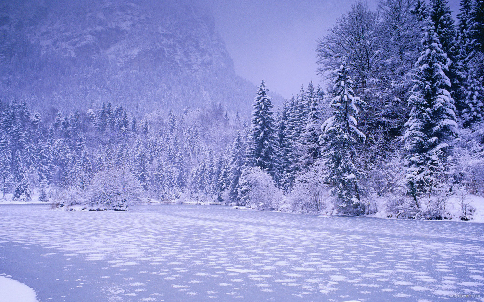 Winter Landscape Wallpaper