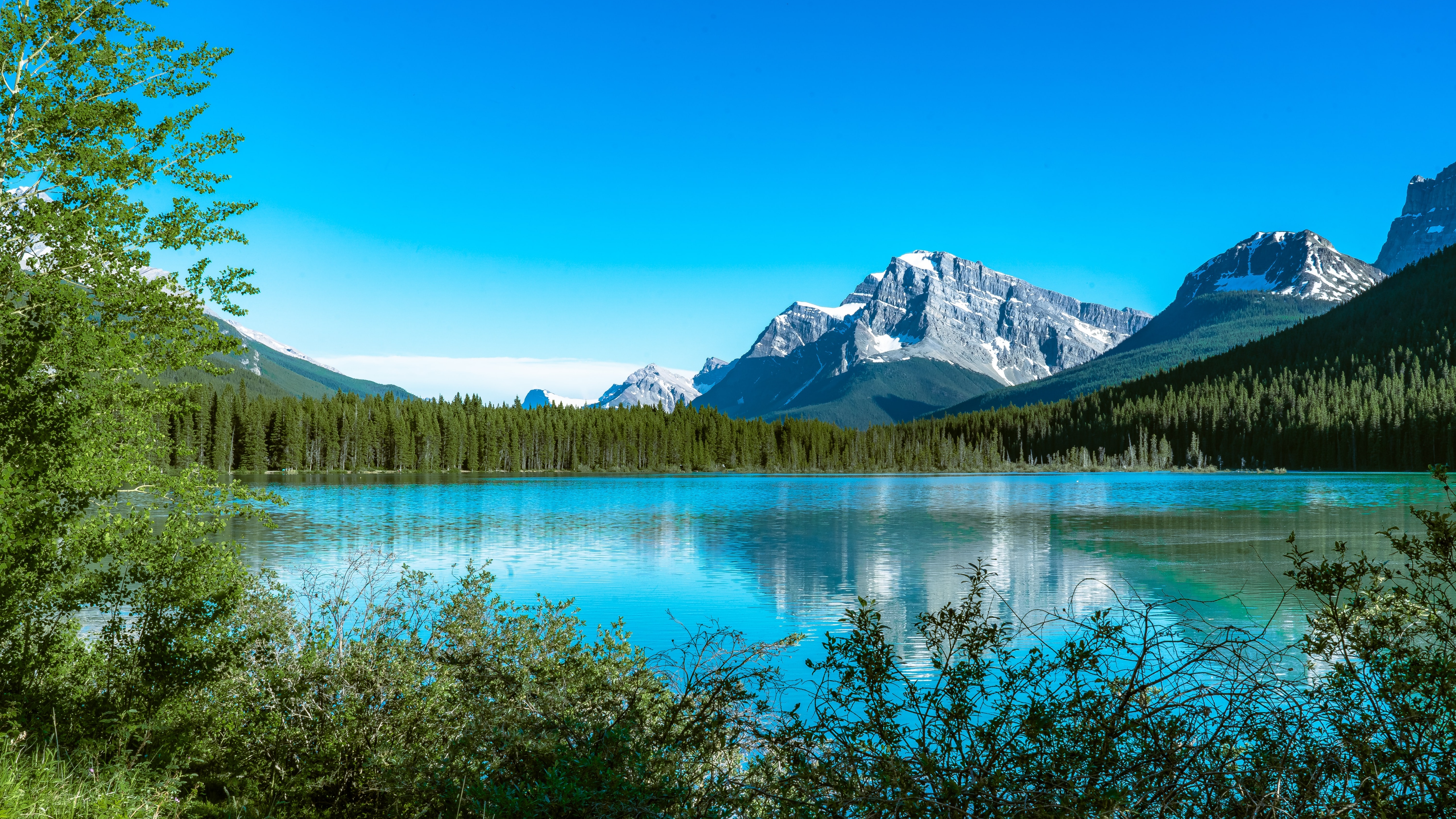 Bow Lake Wallpaper 4K, Canada, Snow covered, Nature