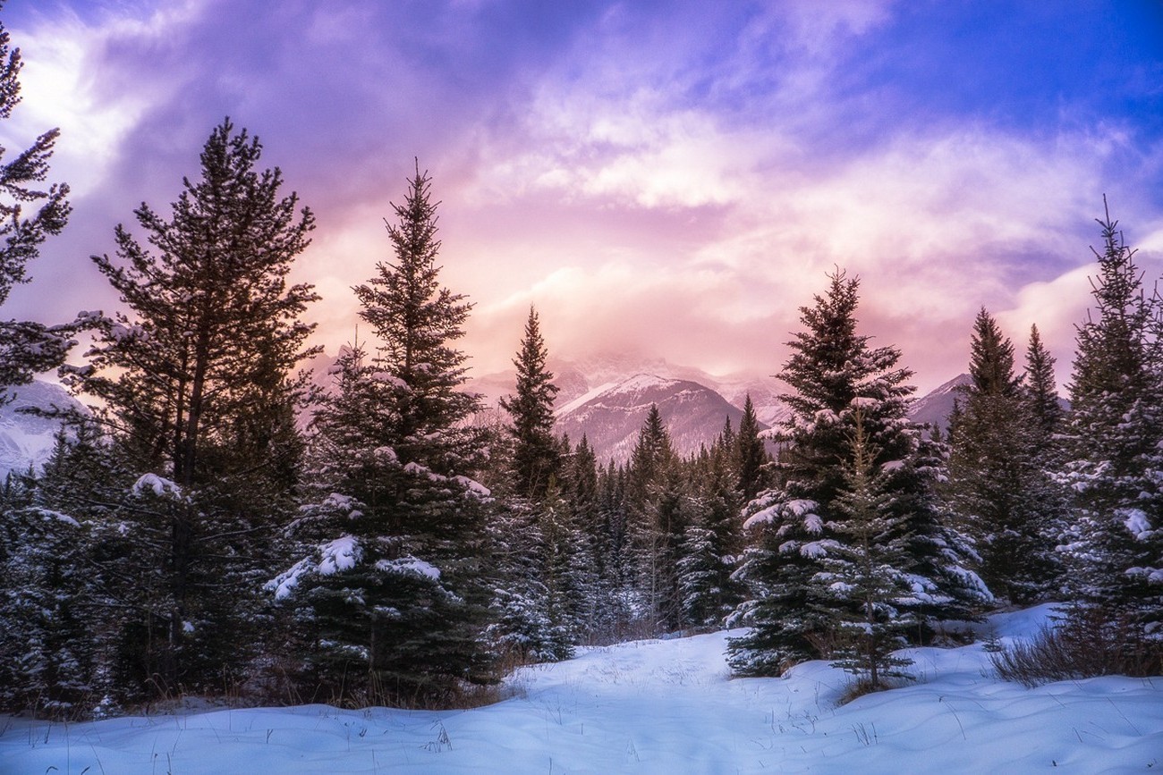 nature landscape forest winter mountain clouds snow pine trees alberta canada sunlight Gallery HD Wallpaper