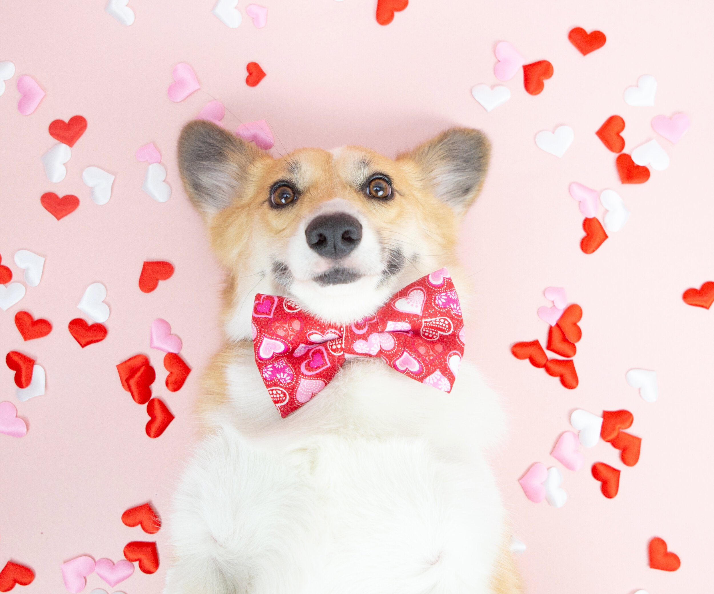 Our Favorite Valentine's Day Styles from Dapper Dexter