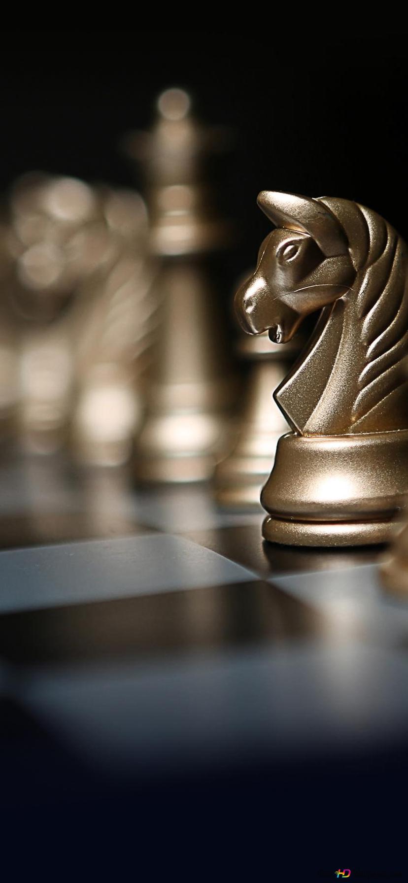 Clearly photographed horse among blurred chess pieces 2K wallpaper download